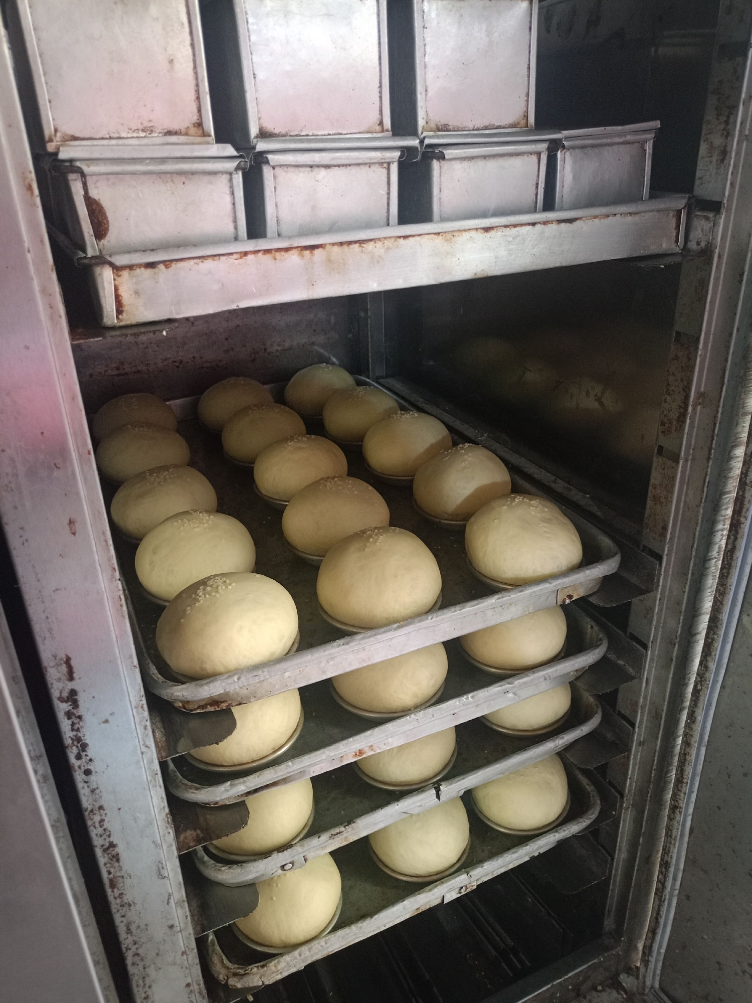 The image shows the interior of a commercial oven, likely in a bakery. Inside the oven, there are multiple racks holding trays of unbaked bread rolls. The bread rolls are round and have a light golden color, with some appearing to have sesame seeds sprinkled on top. The oven itself appears to be made of metal, with visible signs of age and use, including some rust and discoloration. The racks are also metal and are designed to hold the baking trays. The overall environment suggests a food production setting. The location in Lumajang, Indonesia, is not directly evident from the image itself, but the context suggests it is a bakery operating within that city.