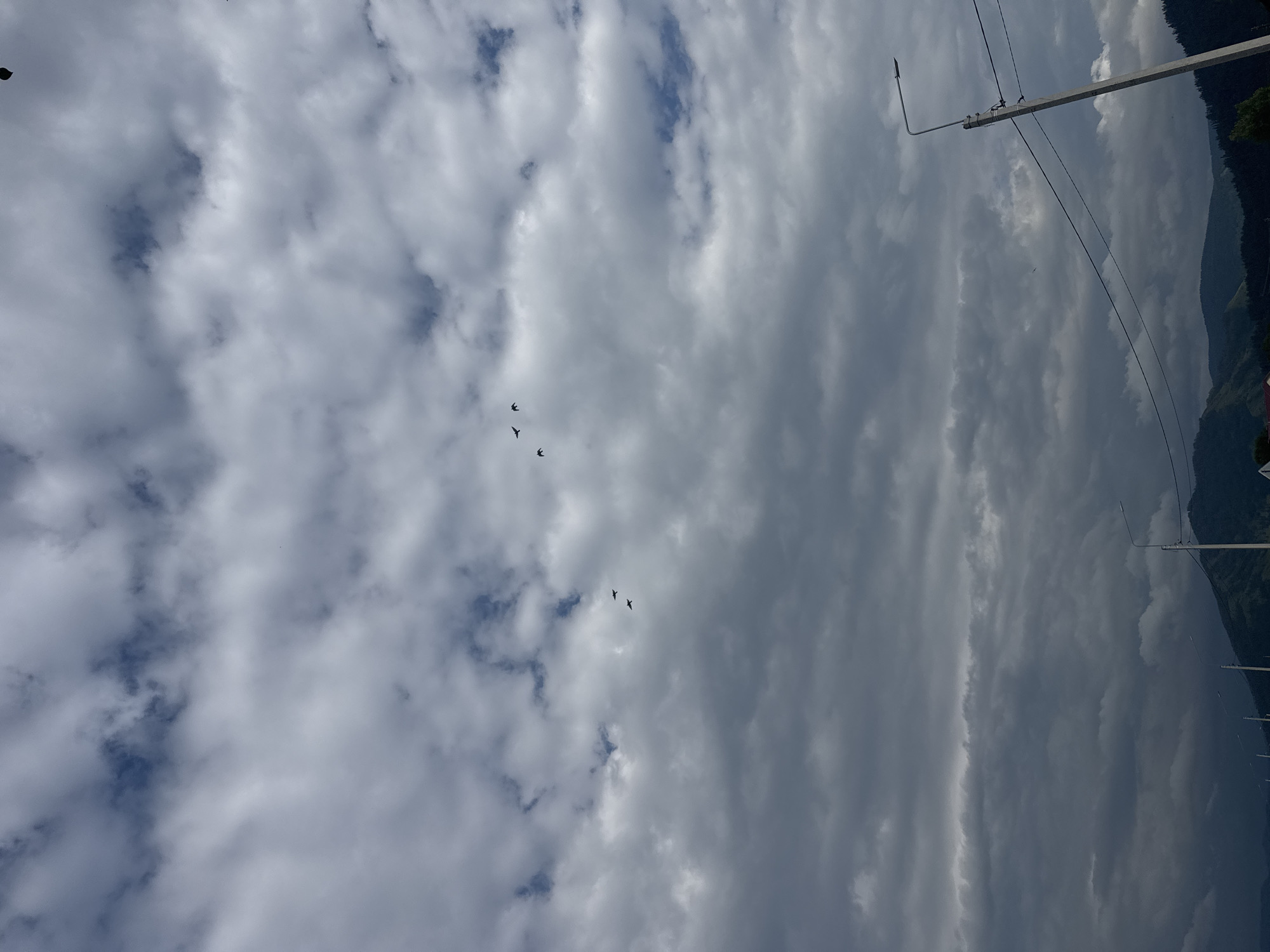 This is a vertical, medium-range shot of a cloudy sky over Yabogan, Russia. Several dark birds are visible flying in formation against the clouds. The clouds are predominantly gray and white, with some patches of blue sky visible. In the foreground, there is a light pole with wires running across the frame. In the background, the tops of dark green mountains are visible, partially obscured by clouds. The overall impression is of a vast, somewhat overcast sky.