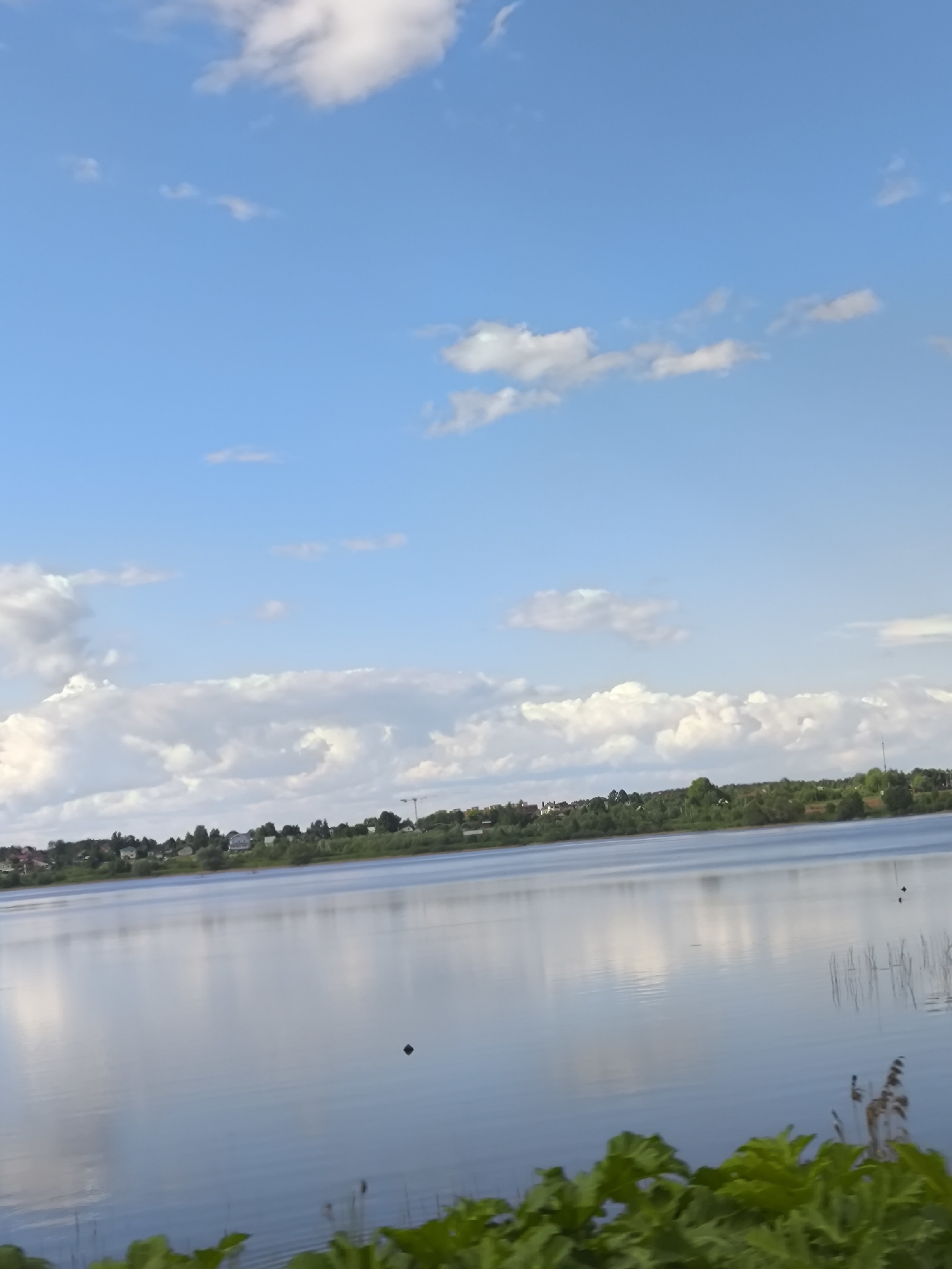The image shows a body of water reflecting the blue sky with scattered clouds. In the distance, the shoreline is visible, featuring a row of trees and some buildings. In the foreground, green vegetation is present, partially obscuring the lower portion of the view. The location is Unknown, Unknown.