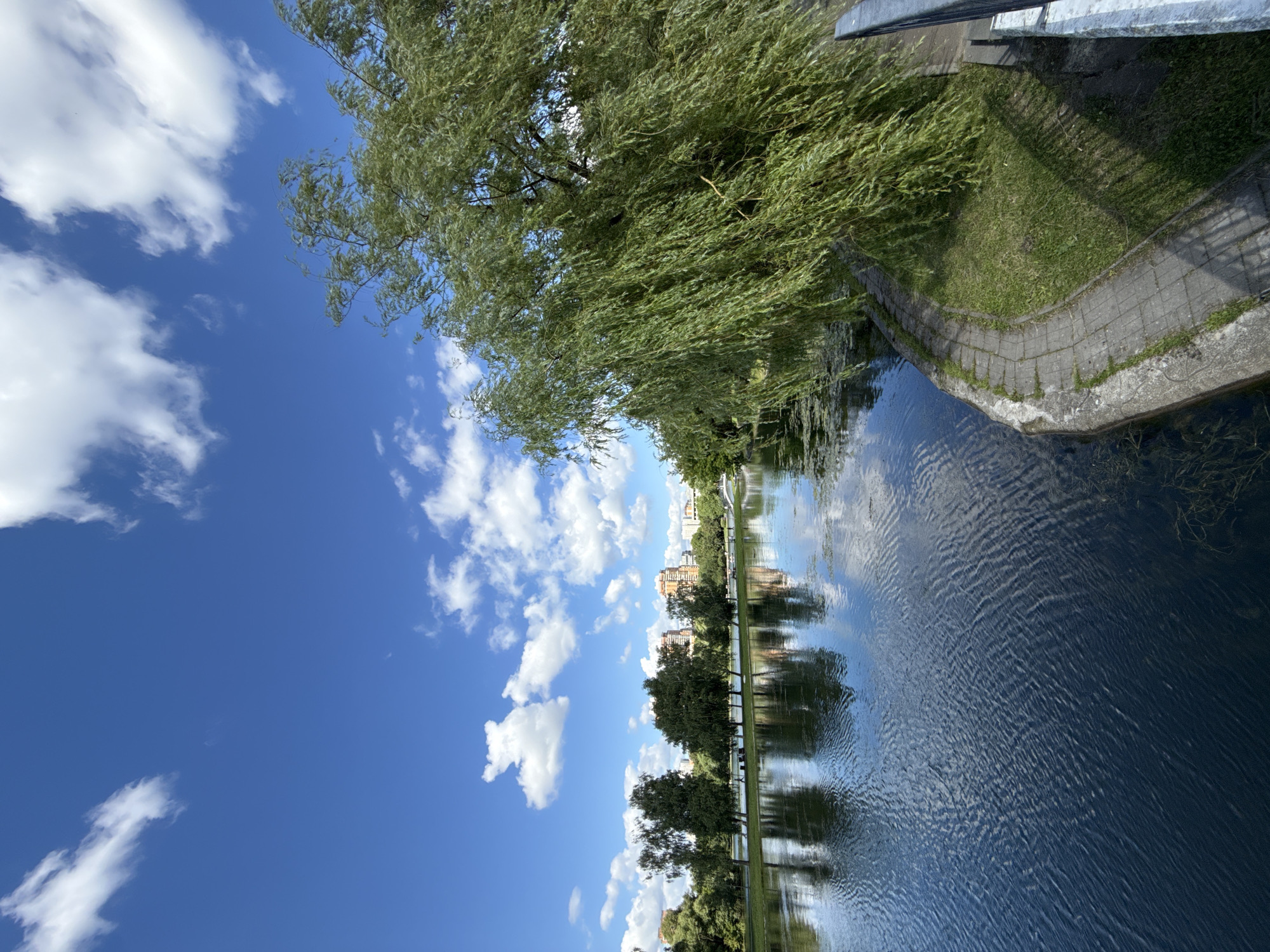 This is a landscape photograph taken on a clear, sunny day with a bright blue sky dotted with fluffy white clouds. The image depicts a tranquil waterfront scene in Moscow, Russia. In the foreground, a large weeping willow tree with long, drooping branches dominates the right side of the frame, its leaves gently swaying.
The water in the foreground is a deep blue, reflecting the sky and the surrounding greenery. Ripples on the water's surface create a textured pattern. Along the edge of the water, a curved pathway made of concrete pavers is visible, bordered by a strip of green grass.
Across the water, on the opposite bank, a line of trees forms a verdant barrier, with their reflections clearly visible in the water. Beyond the trees, several modern buildings with orange and beige facades rise into the sky, indicating an urban setting. There are a few people visible on the far bank, walking along the path or sitting near the water, suggesting a park or recreational area.
On the right edge of the image, a metal railing runs along the embankment, suggesting that the vantage point is from a bridge or elevated walkway. The overall impression is one of natural beauty coexisting with urban development, a common characteristic of many Moscow parks.