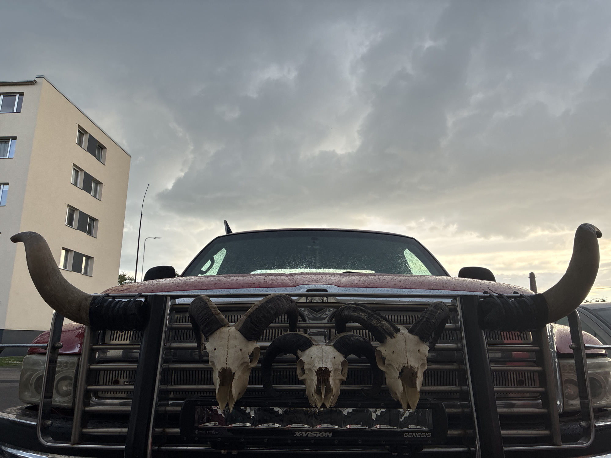 The image shows the front of a red pickup truck adorned with three animal skulls and large horns. The truck is parked outdoors in front of a modern, light-colored apartment building. The sky is overcast with heavy, dark clouds. The scene is captured at ground level, focusing on the truck's grille and hood. The apartment building, visible in the background, has multiple stories with regularly spaced windows. A streetlamp is also visible behind the truck. The overall impression is one of an urban or suburban environment under a stormy sky. This image was taken in Haapsalu, Estonia.