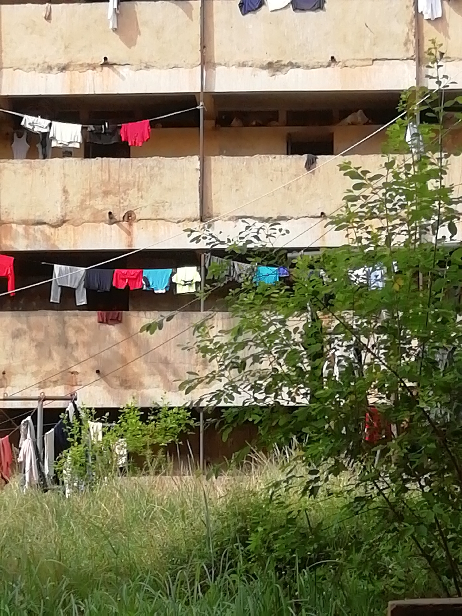 The image shows a weathered, three-story building, likely an apartment complex, in Enugu, Nigeria. Laundry lines are strung across the front, laden with colorful clothing. Overgrown vegetation, including tall grass and a leafy tree, obscures the ground level. The building's facade appears aged and worn, with stains and discoloration. The scene conveys a sense of urban decay and the persistence of everyday life in a developing area.
