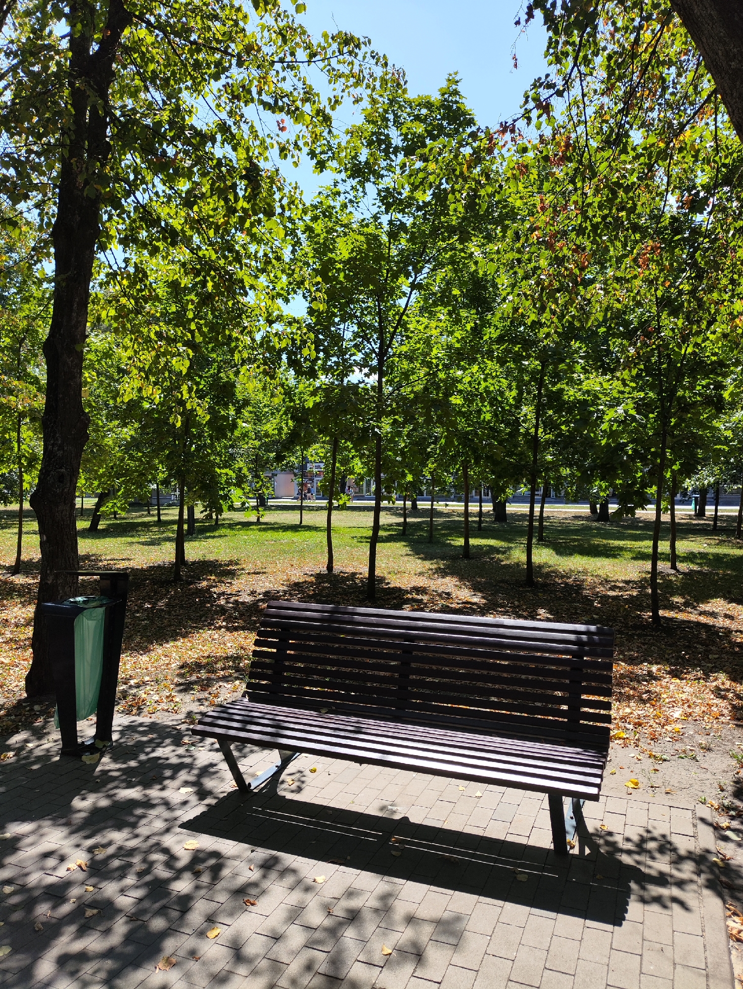 In a city park in Kharkiv, Ukraine, on a sunny day, a dark brown wooden slatted park bench is positioned on a paved walkway. The bench is in the foreground, angled slightly towards the right, with its shadow cast across the textured pavement. To the left of the bench, a dark grey trash receptacle with a green liner stands near the base of a large tree with a dark brown trunk and abundant green foliage. Beyond the walkway, a grassy area is dotted with scattered fallen leaves and more trees with dense green canopies. The background reveals a line of thinner trees and further parkland, with some distant buildings visible on the horizon. The sky above is clear and blue.