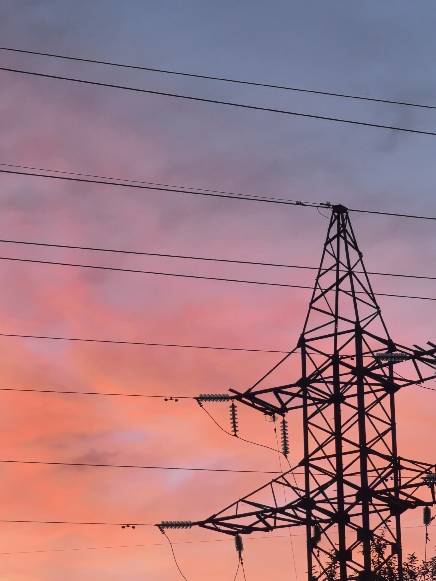 This vertical image captures a striking sky at either sunrise or sunset, with a large metal electricity pylon silhouetted on the right side. The sky presents a vibrant gradient, transitioning from a deep reddish-orange at the bottom, through bright pinks and purples in the middle, to a soft, light blue at the top. Scattered clouds are visible within these intense colors.
Multiple dark power lines stretch horizontally across the frame, some connected to the pylon and others passing overhead. The pylon itself is an intricate lattice structure of dark metal beams, standing out sharply against the colorful background. Ceramic or glass insulators are visible on its cross-arms, where the power lines are attached. A small amount of dark foliage or tree branches can be seen at the very bottom right, suggesting the pylon is situated near some vegetation.
There is no visible human activity or people in the image, which focuses on the interplay between the dramatic natural sky and the man-made industrial structure. The weather appears clear or partly cloudy, allowing for the rich display of colors. This scene is located in Noviy, Russia. No visible text is present in the image.