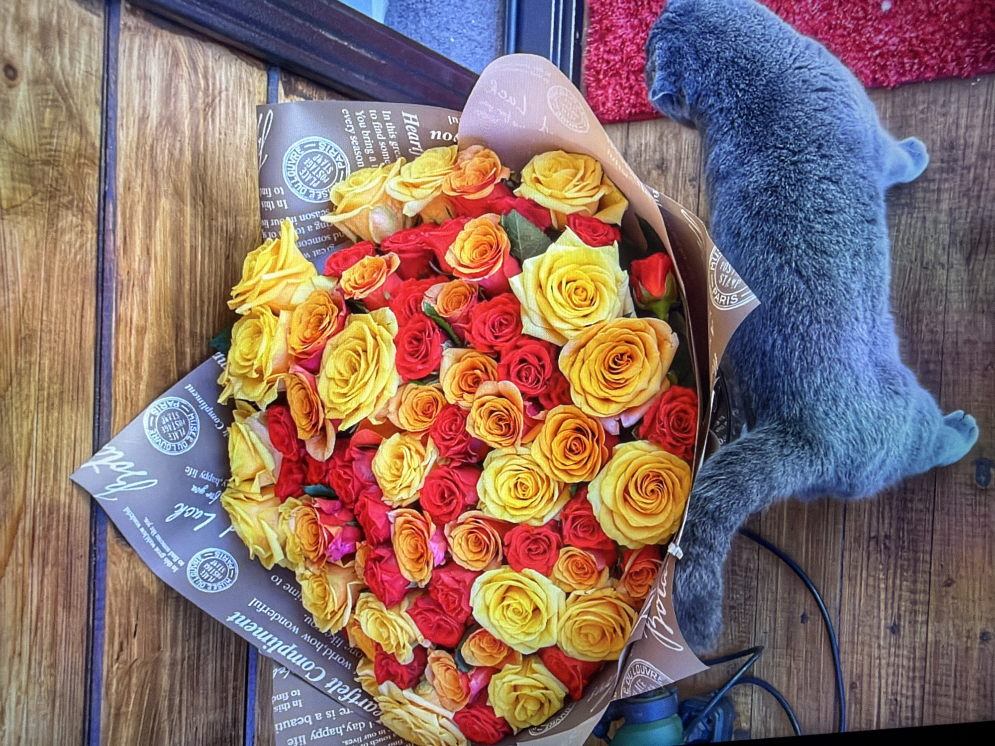 A bouquet of yellow and red roses is displayed on a wooden surface, with a gray cat in the foreground facing away from the viewer. The bouquet is wrapped in brown paper with text and circular stamps. The wooden surface has visible grain and appears to be a tabletop. To the right of the cat, a portion of a red rug is visible. The scene is indoors, likely in a home or a shop. There is no indication of the location being in Kotelniki, Russia.