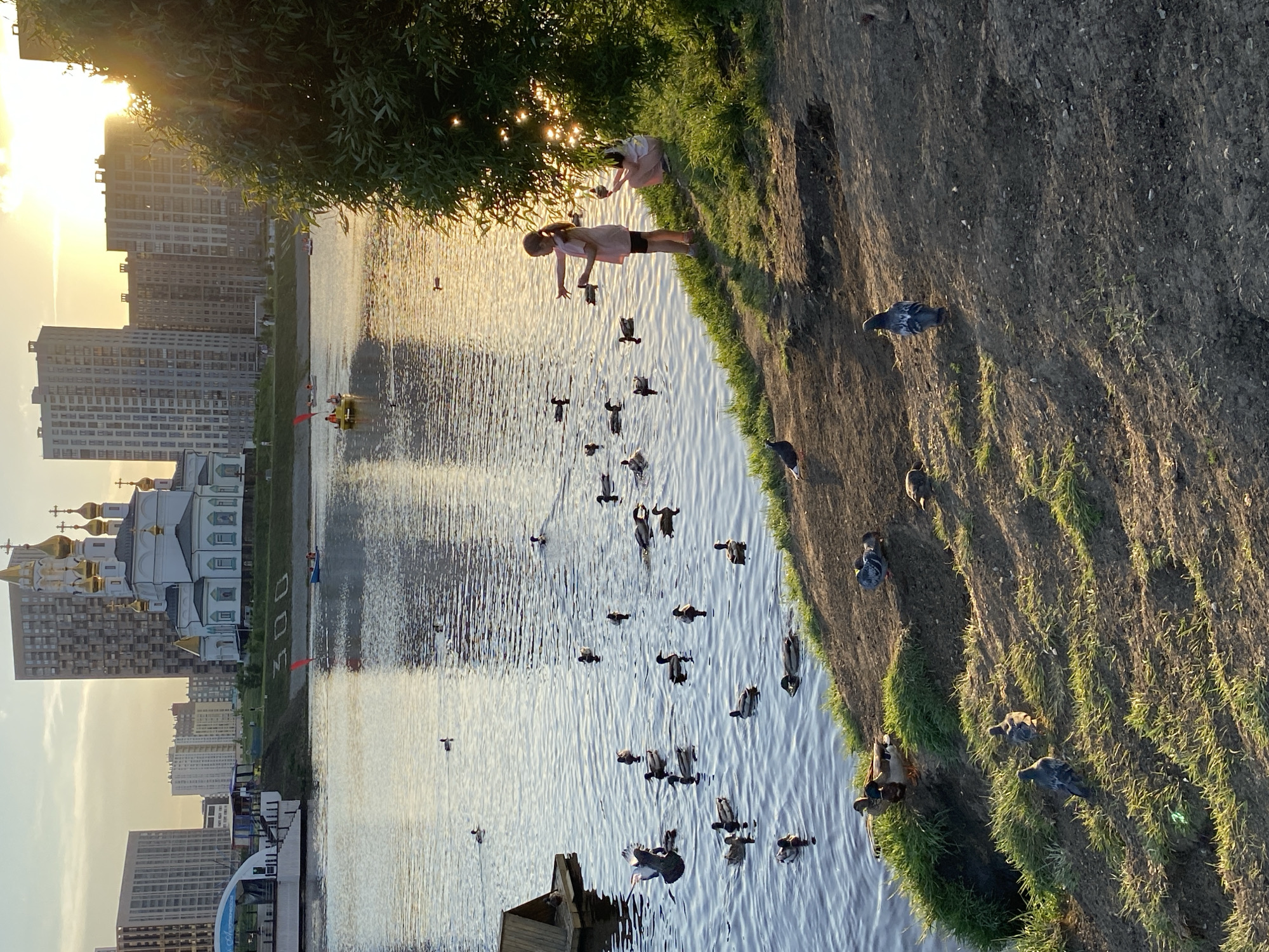 A daytime view shows the Iset River in Yekaterinburg, Russia, with a riverbank on the right. Two girls are on the bank, one is reaching her hand towards the water. Numerous ducks swim in the river, with more on the bank. Across the river are buildings, including the Church on Blood in Honour of All Saints Resplendent in the Russian Land.