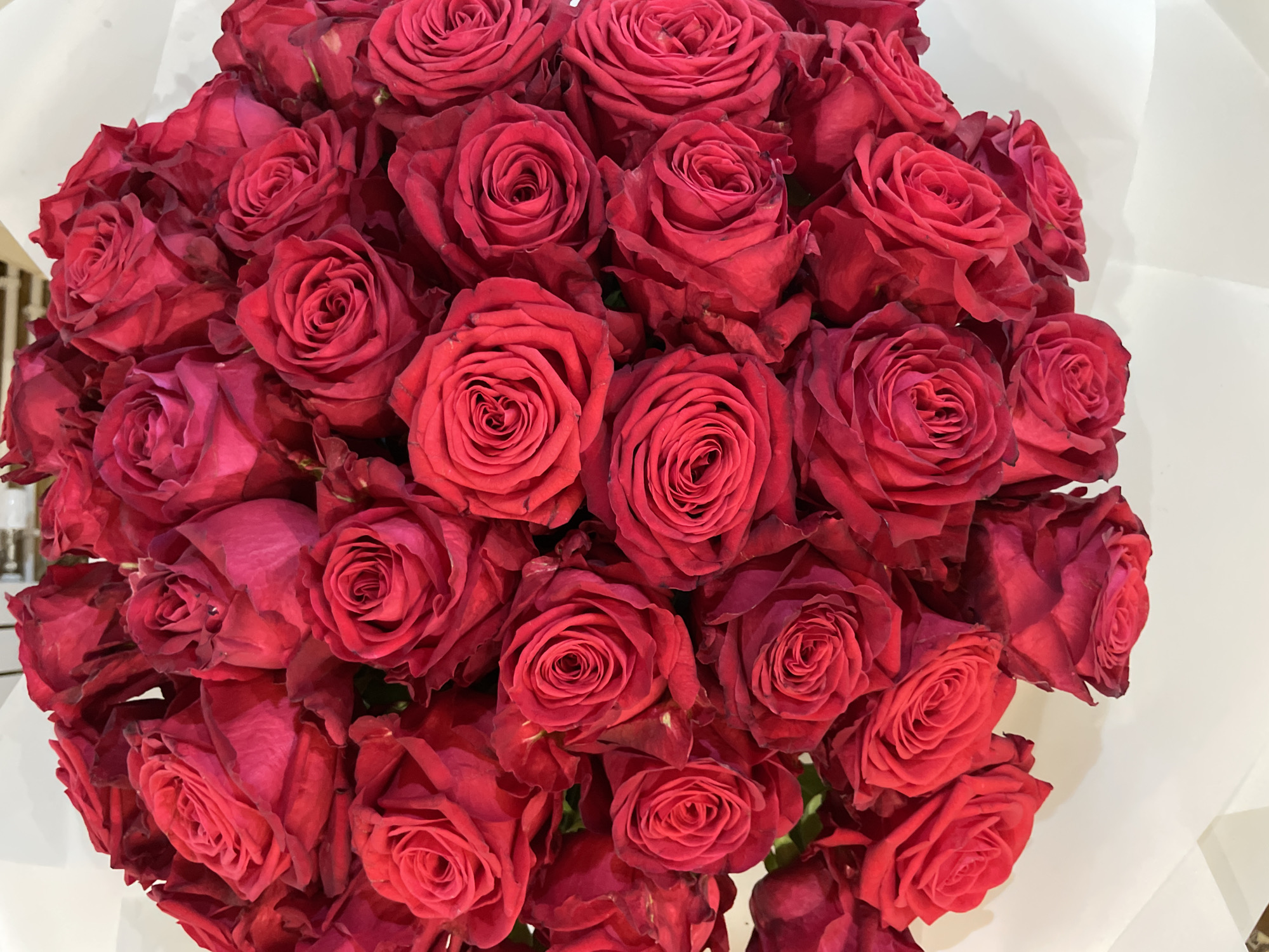 A bouquet of red roses fills the frame, arranged tightly together. The roses are predominantly a deep red color, with variations in tone and some roses exhibiting a darker, almost maroon hue. The petals are layered and curled, forming the classic rose shape. The bouquet is wrapped in white paper. The location is unknown and cannot be determined from the visual information. No people, actions, or interactions are visible.