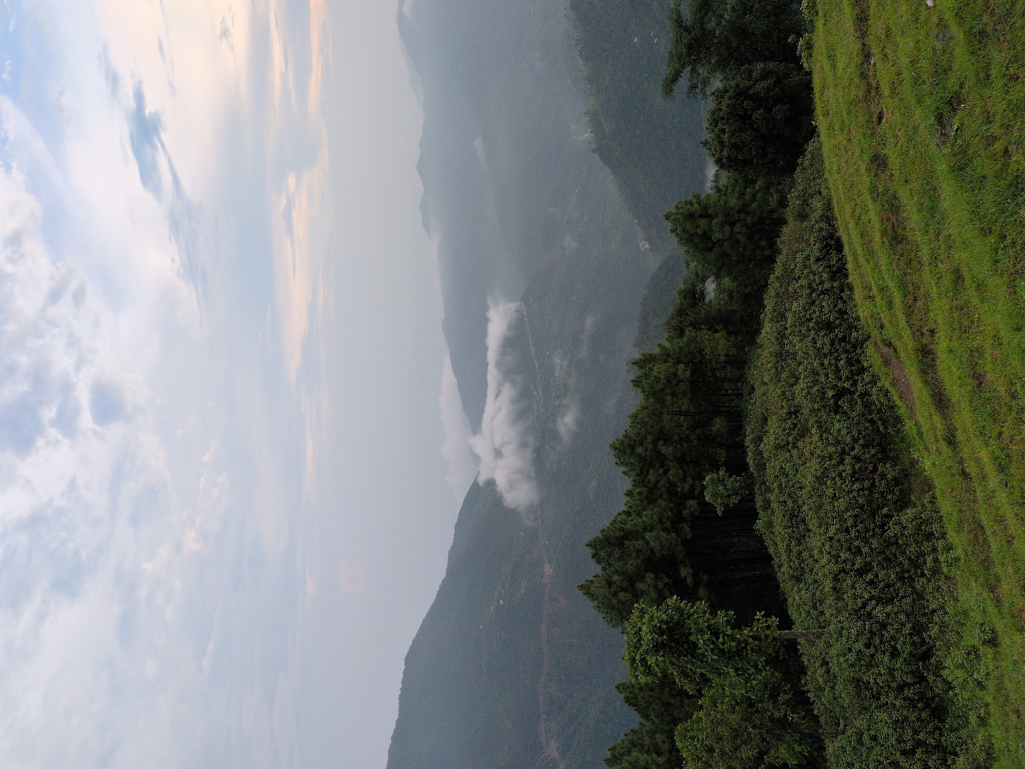 A wide-angle, high-angle shot captures a misty mountainous landscape in Kapurkot, Nepal, under a cloudy sky. The foreground features a grassy slope with a winding dirt path visible on the left. Behind the slope is a dense line of dark green pine trees. Further in the distance, rolling hills covered in lush vegetation are shrouded in a soft haze. A winding road is visible on one of the hillsides. White clouds drift through the valleys between the mountains, adding to the serene, atmospheric scene. The overall color palette is dominated by greens and muted grays, with hints of light blue and pale orange in the sky.