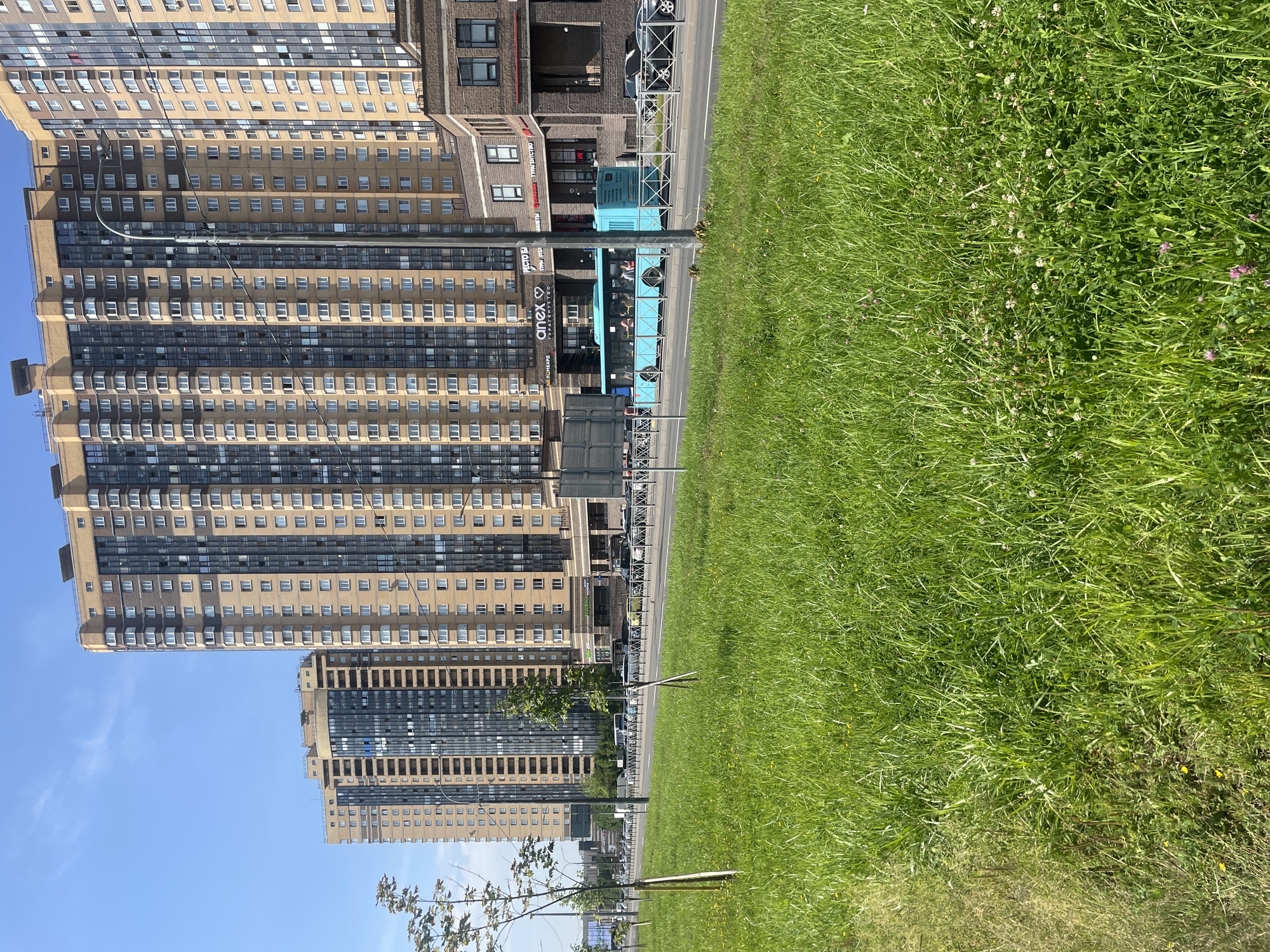 The image depicts a street scene in Saint Petersburg, Russia, with modern high-rise apartment buildings dominating the background. In the foreground, a lush green lawn with young trees planted along the edge borders a road. A bright turquoise bus is visible on the road, with passengers inside. Several cars are also present, indicating traffic. The buildings are a mix of beige and dark glass facades, characteristic of contemporary urban development. Signs on the buildings suggest commercial establishments on the ground floors. The sky is clear and blue, indicating a sunny day. The overall scene portrays a well-maintained urban environment with green spaces.