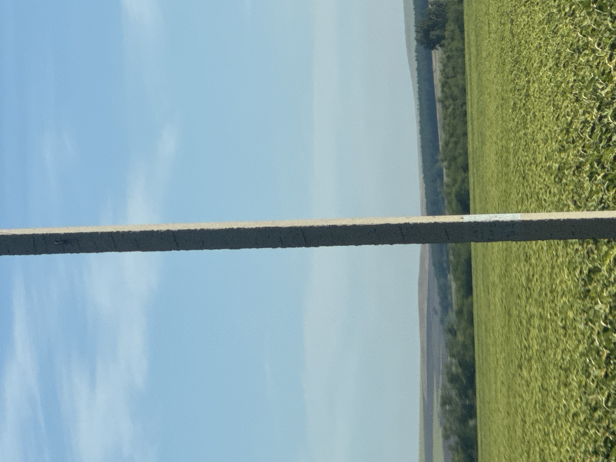 An exterior vertical shot captures a concrete utility pole against a clear blue sky with thin wispy clouds. The pole is situated in the foreground, slightly off-center to the right. To the left of the pole, a vast, green, agricultural field stretches into the middle ground. Beyond the field, rolling hills and a line of trees form the background, all under the expansive sky. The location is identified as Klenovyi, Russia. There are no people or animals visible in the image.