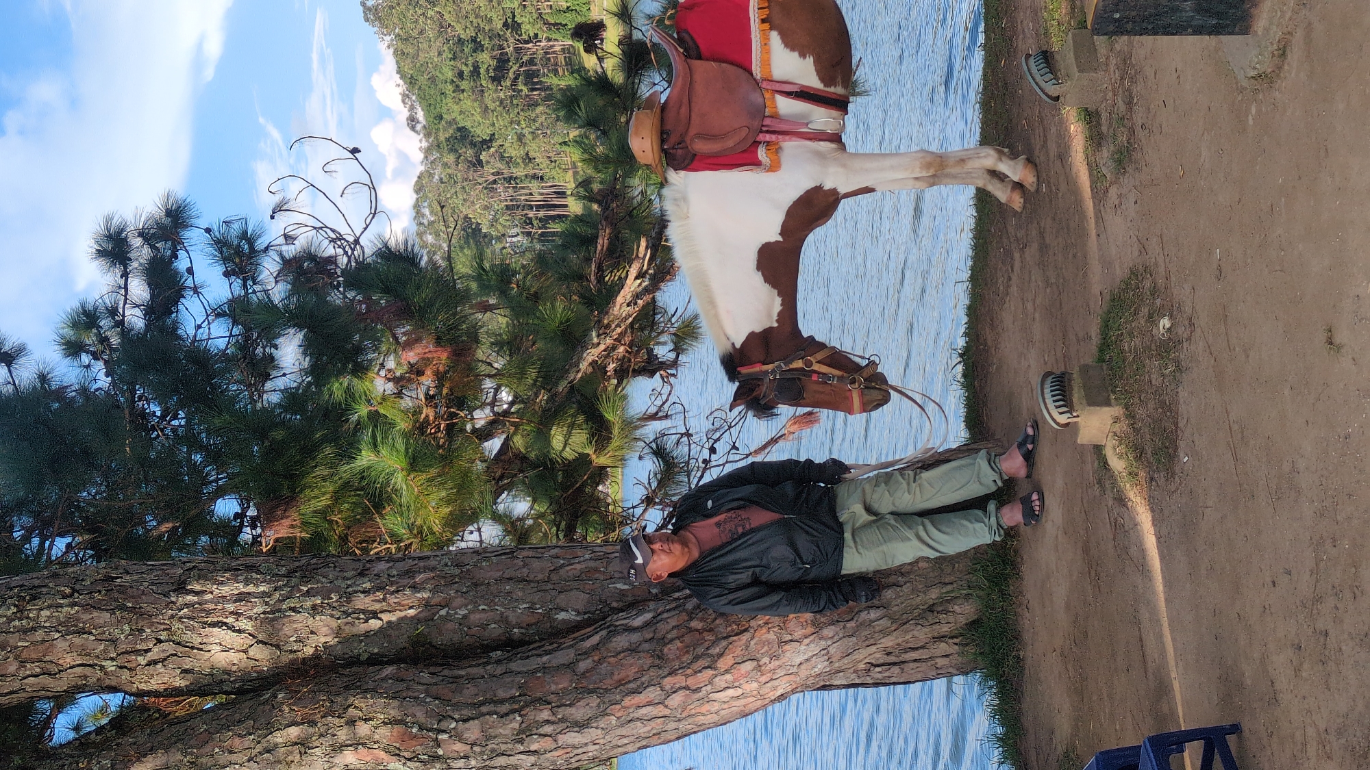 A man stands next to a horse by a large tree and a lake in Da Lat, Vietnam. The man, wearing a dark jacket, light green pants, black gloves, and a baseball cap, leans against the tree. The horse, a pinto with brown and white markings, is equipped with a saddle and bridle, and a hat rests on the saddle. The lake, with calm blue water, is in the background, bordered by a forest of pine trees and rolling hills under a partly cloudy sky.