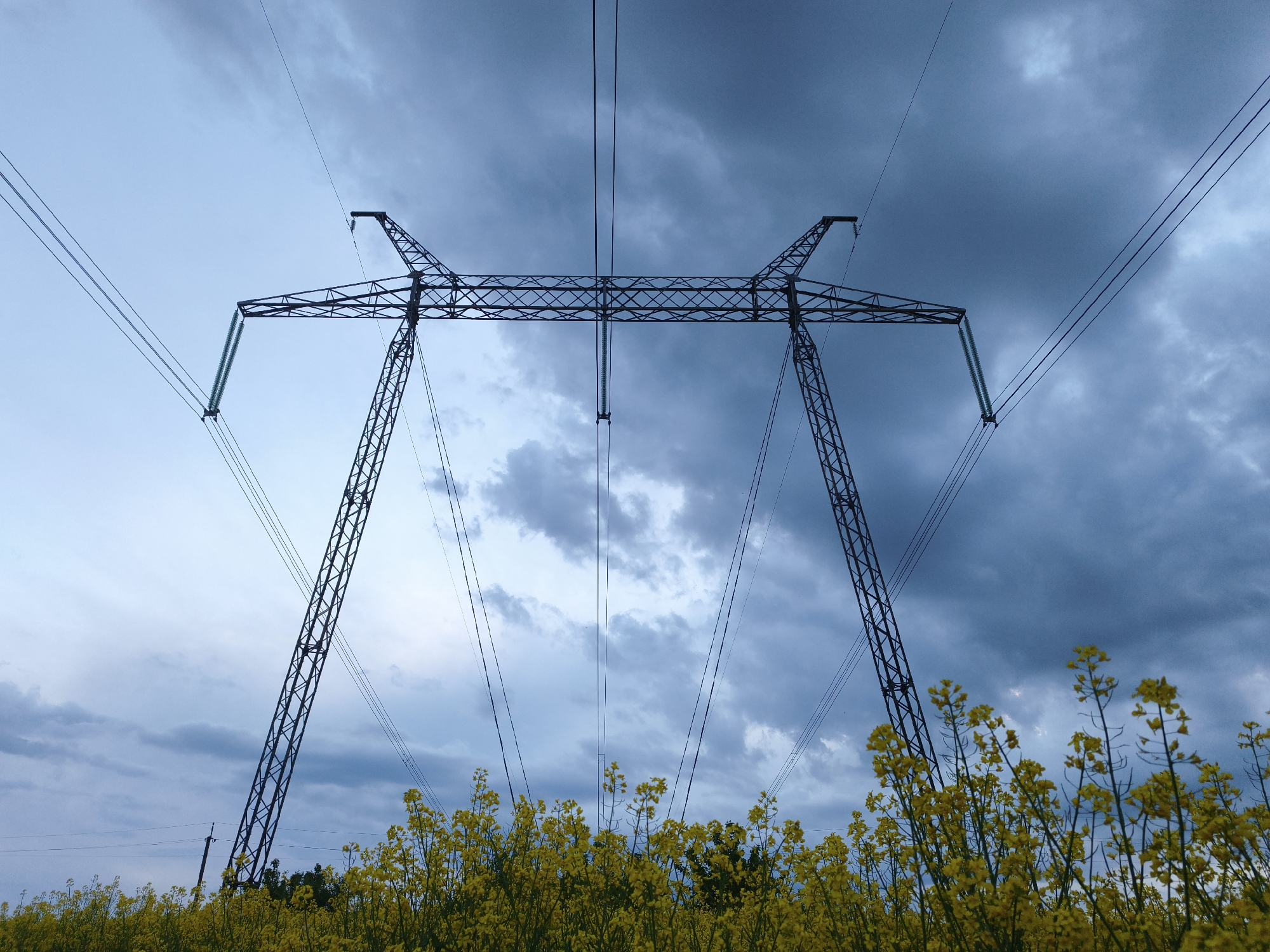 The image depicts a high-voltage power line tower in a field of yellow flowering plants, likely rapeseed. The tower is a lattice structure, and multiple power lines extend from it. The sky is overcast with a mix of light and dark gray clouds. The location is Yemelivka, Ukraine.