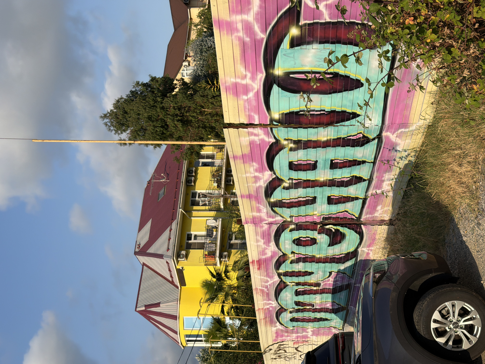 This is a vertical, eye-level, full-shot photograph of a brightly colored graffiti mural covering a corrugated metal wall. The mural features large, bubble-style lettering in a turquoise color with dark red outlines and yellow accents. The background of the mural is a vibrant pink and purple abstract design. To the left of the mural, there are yellow buildings with red roofs, and some green trees and palm trees. The sky is blue with some scattered white clouds, suggesting it is daytime. The overall scene appears to be an outdoor urban or semi-urban environment, possibly in a warm climate given the palm trees. A dark-colored car is partially visible in the lower right corner of the image, parked next to the wall. A few branches of green foliage hang over the top right portion of the mural. The image has a slight tilt, as if taken from a handheld camera. No people are visible in the frame.