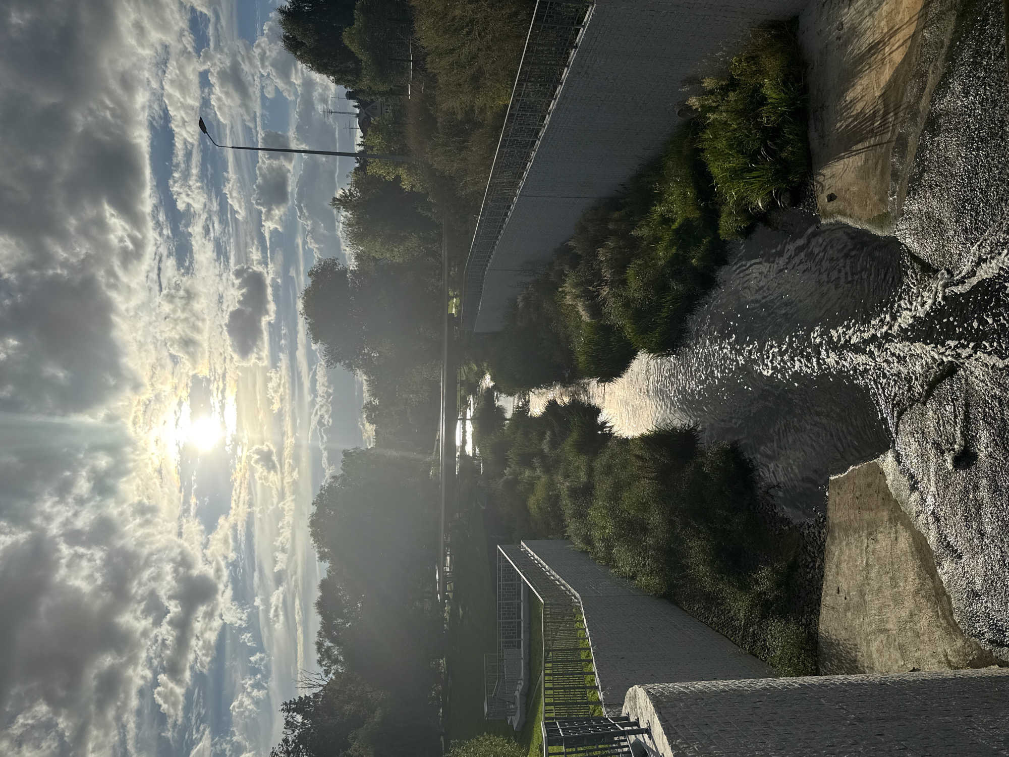A vertical, medium-shot photograph captures a creek flowing through a park-like environment under a dramatic sky. The sun, partially obscured by clouds, shines brightly, casting beams of light through the sky. The clouds are a mix of white and gray, creating a textured ceiling above the scene.
The creek, a dark, reflective ribbon, meanders through the center of the frame. Its surface is disturbed by ripples and small cascades, creating a foamy texture in places, particularly as it flows over a concrete lip in the foreground. The banks of the creek are lined with lush green vegetation, including tall grasses and other plants, which appear somewhat wild and unkempt.
On either side of the creek, concrete walls rise, their textured surfaces catching the light. These walls are topped with metal railings, suggesting a pathway or viewing area. On the left side, a circular concrete structure with a textured facade anchors the foreground. Further back, a flat, paved area with railings is visible, possibly a viewing platform. A metal pipe or conduit runs horizontally across the creek in the mid-ground, partially obscured by trees.
The background is dominated by a dense canopy of trees, their dark green foliage contrasting with the brighter sky. On the right side of the image, a tall street lamp stands against the sky, and in the distance, glimpses of houses and more trees can be seen. The overall impression is of a natural waterway integrated into an urban or suburban landscape, with elements of human infrastructure present. The lighting suggests it is either early morning or late afternoon.