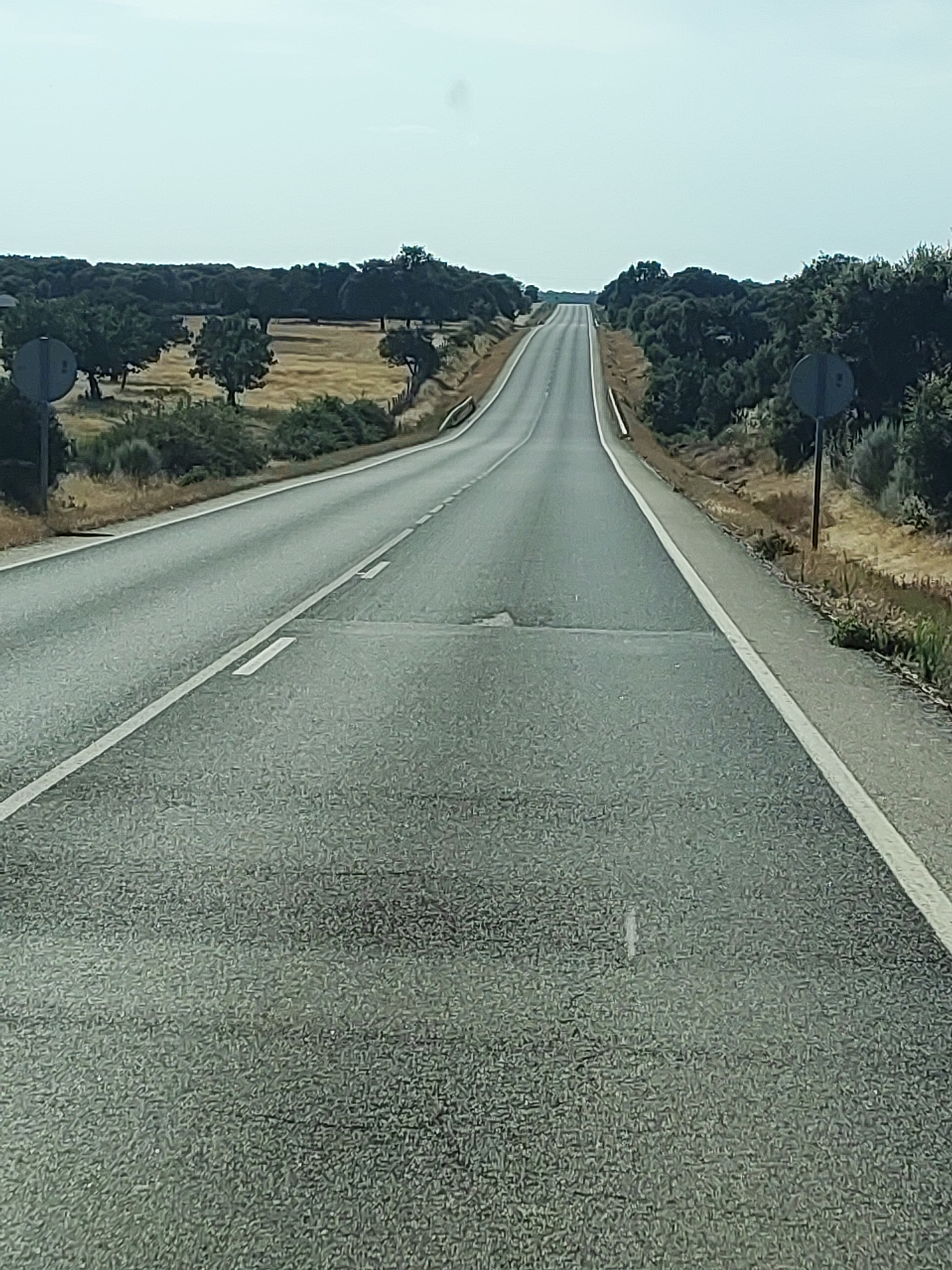 The image shows a two-lane asphalt road winding through a rural, wooded landscape under a clear, bright sky, suggesting daytime with fair weather. The road extends into the distance, disappearing over a hill. The surrounding environment is characterized by low-lying trees and scrubland, with patches of dry, golden grass in some areas, indicative of a possibly dry or late summer season.
On either side of the road, there are signs. On the left, a circular sign with a horizontal bar is visible, likely a traffic sign. On the right, another similar circular sign is present, further down the road. The road itself has white lane markings, with a solid white line on the far right edge of the visible pavement and dashed white lines separating the lanes. The asphalt appears somewhat worn in places, with some minor cracks or patches visible.
The scene conveys a sense of travel and solitude, with no people or vehicles immediately visible. The light suggests it is either morning or afternoon. The vegetation, with its dry appearance, combined with the type of trees (likely holm oaks or similar Mediterranean species), points to a location in southern Europe, consistent with the provided location context of Doñinos de Ledesma, Spain. The overall impression is a quiet, open road journey through a natural, somewhat arid landscape.