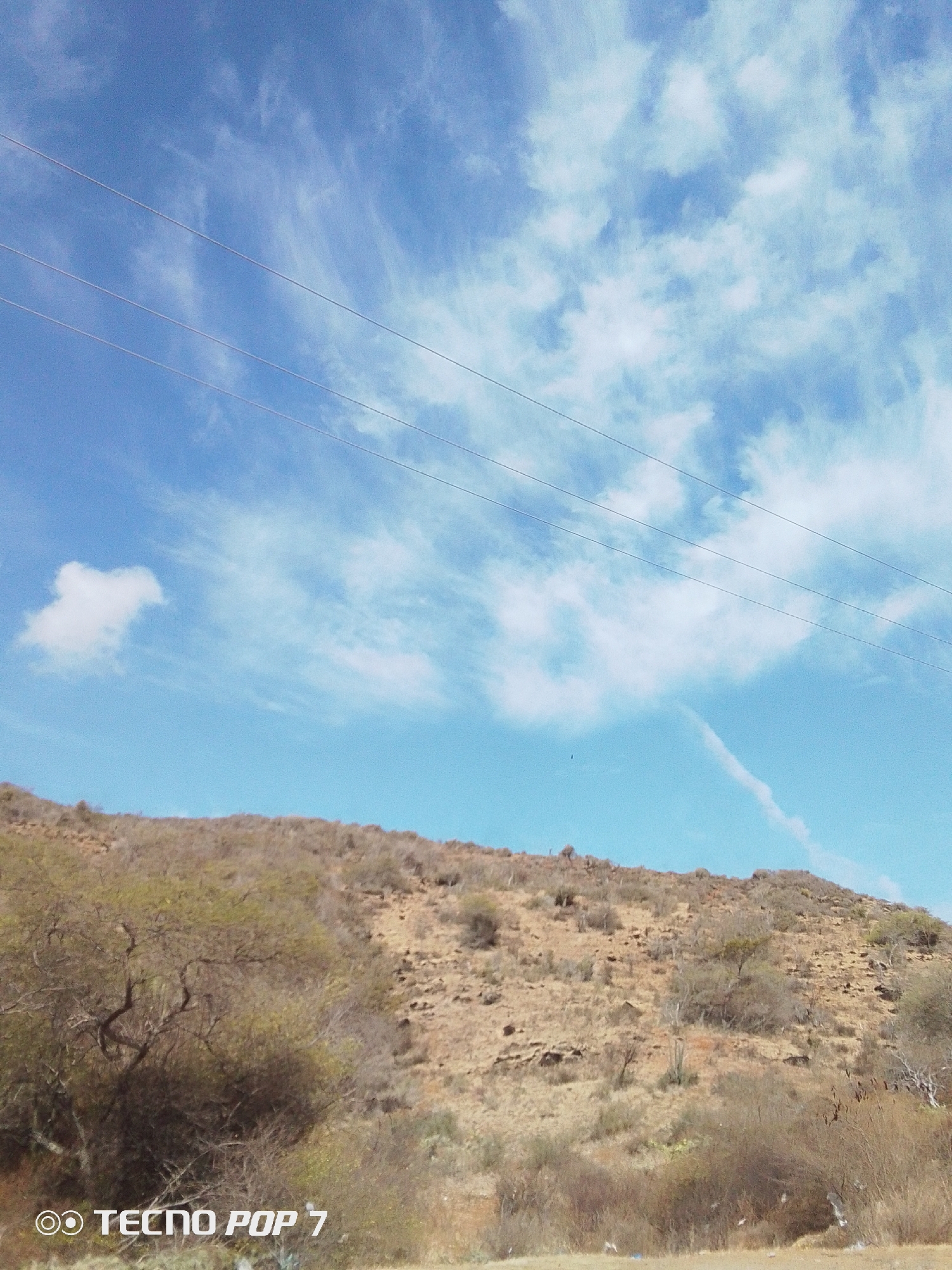 The image shows a hillside landscape under a partly cloudy, blue sky. The terrain is arid, with sparse vegetation consisting of shrubs and small trees. Power lines are visible across the upper portion of the sky. The photo was taken with a TECNO POP 7 camera. The location is likely near Pedro González, Venezuela.