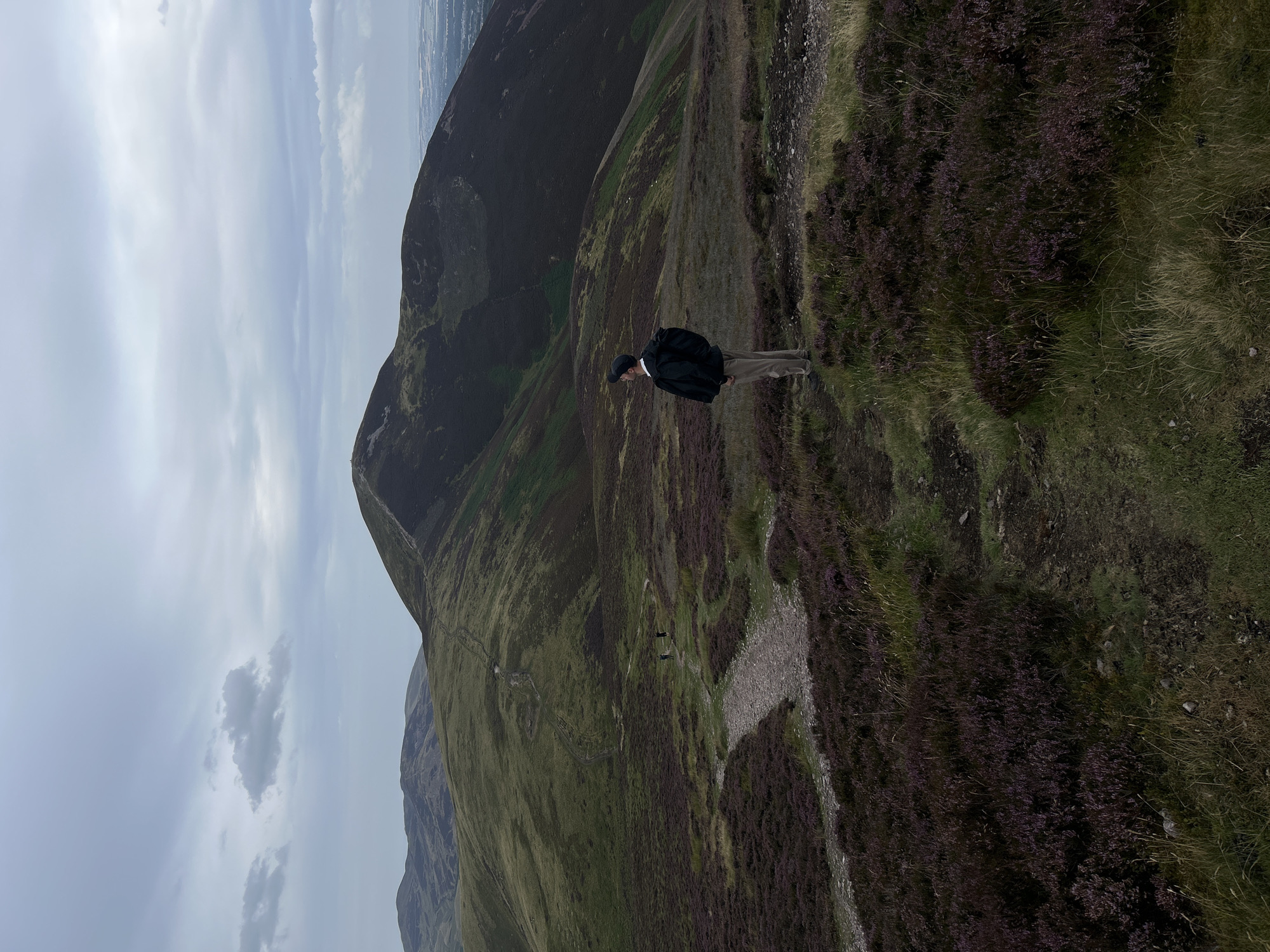 A person stands on a hill, looking out at a vast landscape of rolling hills under a cloudy sky. The foreground is covered in purple heather and green grass, with a gravel path winding through it. In the middle ground, two figures walk along a path in the distance. The background features larger, darker green hills with a path visible winding up one of them. The person in the foreground is wearing a dark jacket, light-colored pants, and a dark cap. The overall scene evokes a sense of rugged, natural beauty. This appears to be a view from the Pentland Hills Regional Park, which is located south of Edinburgh, and therefore is in the vicinity of Penicuik.