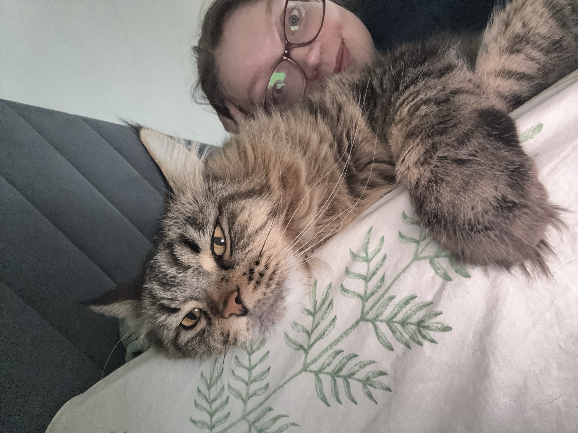A selfie-style, close-up photograph depicts a woman and a Maine Coon cat. The woman, wearing glasses, is positioned behind the cat, her face partially visible in the upper portion of the frame. The cat, the primary subject, is lying down with its head resting on a white surface patterned with green fern-like designs. The cat is a large tabby with a long muzzle, prominent whiskers, and golden eyes. A textured, dark gray headboard is partially visible on the left side of the image. The location is not discernible.