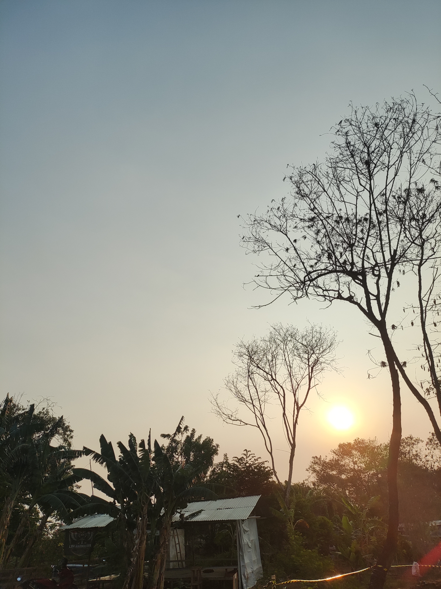 An outdoor scene captures a hazy, pale blue sky at sunset over Cikarang, Indonesia. The sun, a bright orb, is positioned in the right-center of the frame, casting a warm glow through silhouetted trees. In the foreground, lush green banana trees and other foliage are visible. To the left, a simple structure with a corrugated metal roof and white fabric walls stands amongst the vegetation. In the distance, the silhouettes of trees, some bare and others with leaves, fill the horizon. The overall impression is one of a rural landscape at the end of the day, with the setting sun illuminating the scene.