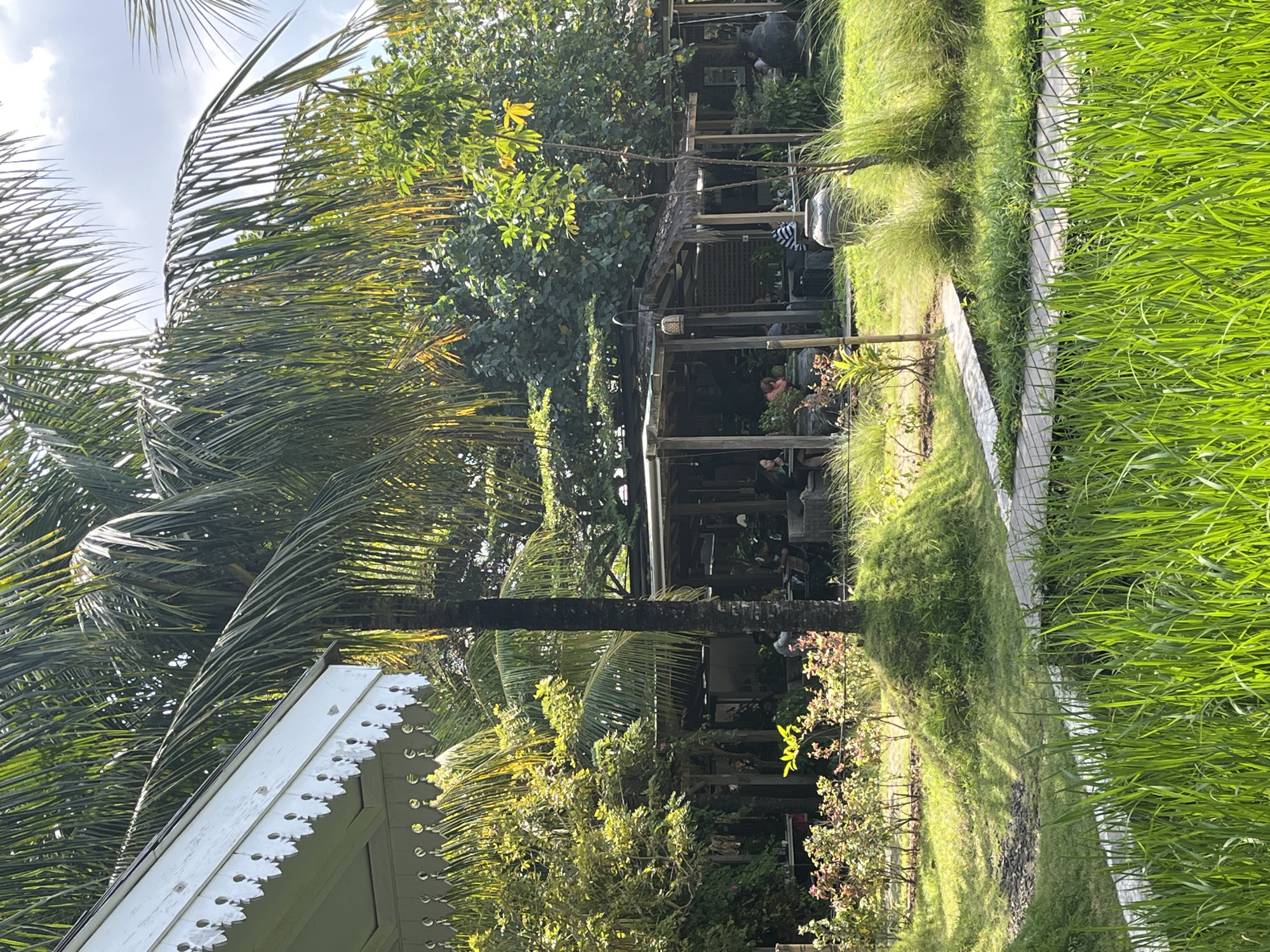 In North Kuta, Indonesia, an outdoor restaurant features a thatched-roof dining area and a white wooden building with decorative eaves. Lush greenery, including palm trees, bushes, and tall grass, surrounds the establishment. Several patrons are seated at tables within the covered dining area, some interacting and others dining. Wooden pathways weave through the landscape, leading to the restaurant. The scene is bathed in sunlight, creating shadows on the grass.