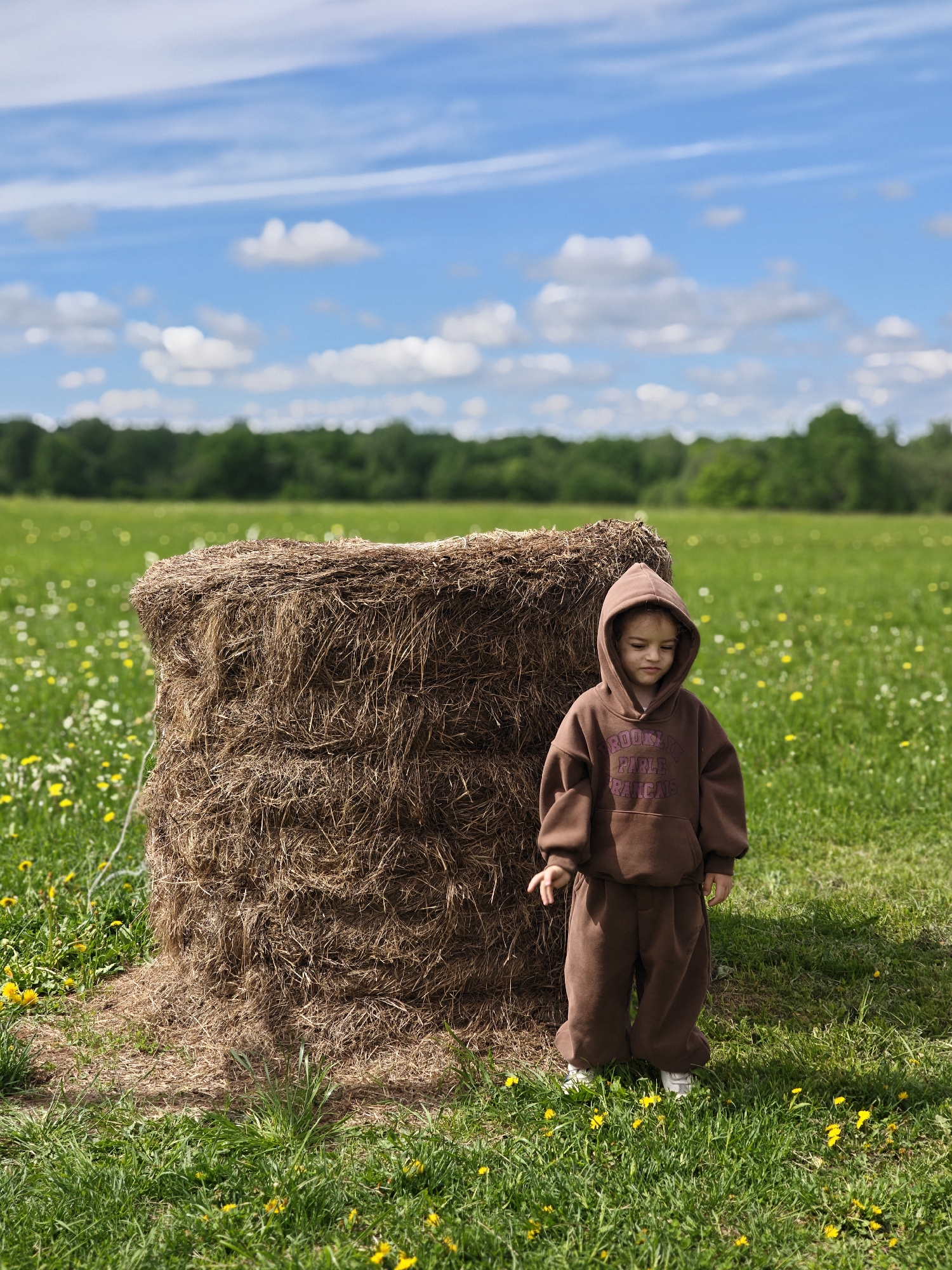 A young child wearing a brown hooded sweatshirt and matching pants stands in a green field next to a cylindrical haystack. The field is covered with wildflowers, primarily yellow dandelions and small white flowers. In the background, there is a line of trees and a blue sky with scattered white clouds. This scene is located in Borodino, Russia.