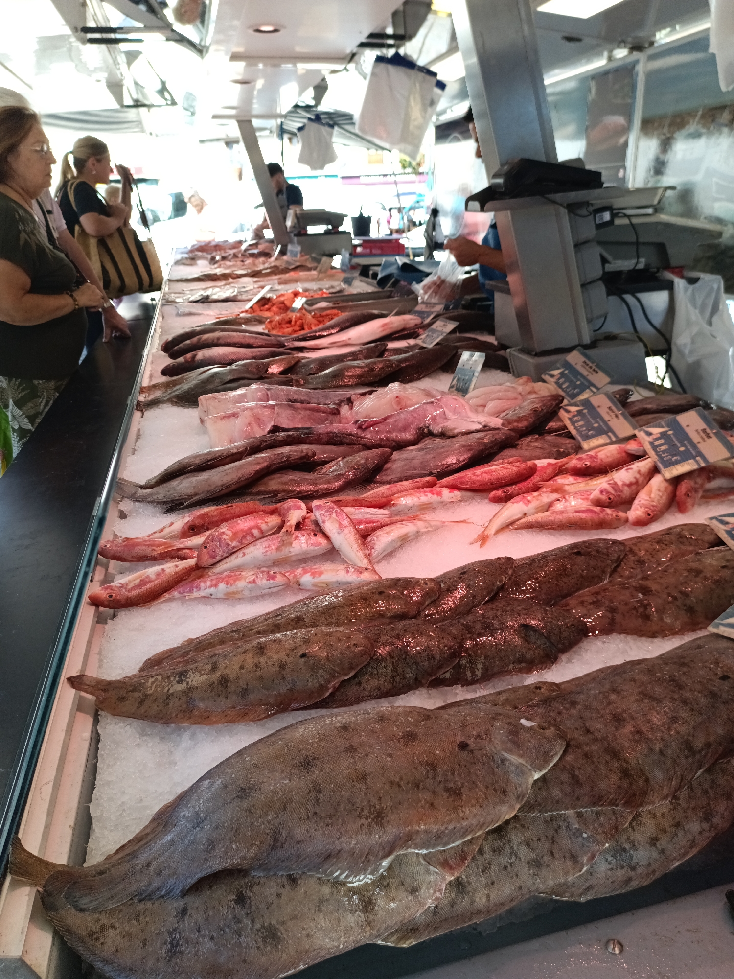 In Le Neubourg, France, a bustling fish market scene unfolds. The foreground is dominated by a display of flatfish on ice, their mottled skin patterns visible. Behind them, rows of smaller, reddish fish are laid out, also on ice. Further back, a variety of larger, silvery fish are arranged. A woman with glasses and dark hair, wearing a dark shirt, stands on the left, looking towards the display. Next to her, another woman with blonde hair, wearing a dark t-shirt, holds a large striped bag. In the background, a fishmonger, partially obscured, appears to be working behind a counter. Scales and other market equipment are visible, along with hanging bags and awnings, suggesting an outdoor or covered market setting. The lighting is bright, creating reflections on the fish and highlighting the vibrant colors of the seafood.