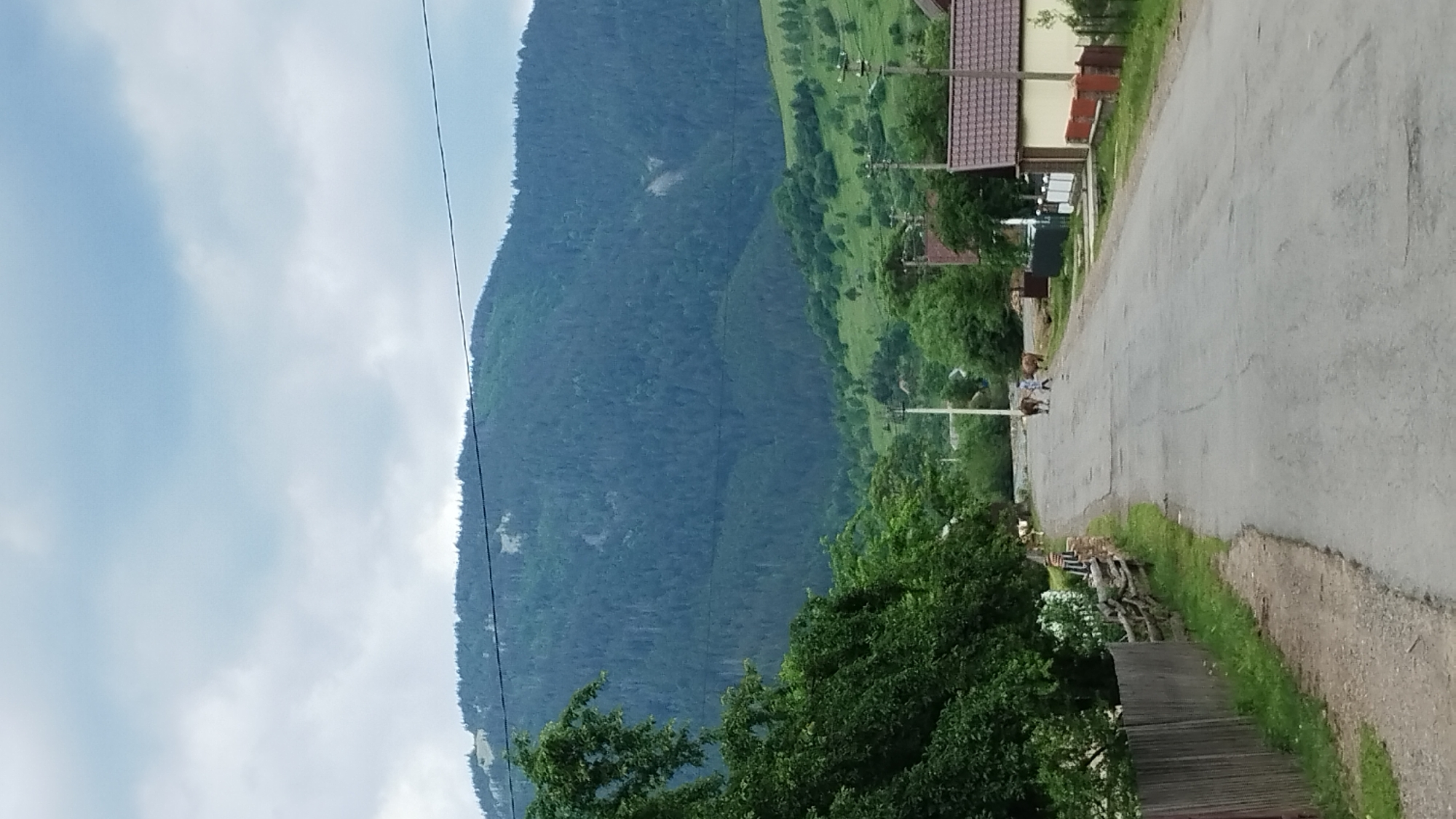 The image depicts a rural scene in Synevyrska Poliana, Ukraine. The main subjects are a paved road and a steep, densely forested mountain that dominates the background. The mountain is covered in a dark green forest, with patches of lighter green indicating clearings or different types of vegetation on its slopes. The sky above is overcast with light gray clouds, suggesting a possibly humid or cooler day.
To the right of the road, there are several houses with tiled roofs and some wooden fences. The road itself appears to be in a rural village setting, with grass and trees growing alongside it. In the middle ground of the image, a few people are visible on or near the road, walking alongside some animals, possibly sheep or goats, which are also walking along the road. There are also some utility poles and wires visible, indicating the presence of infrastructure.
The overall scene conveys a peaceful, rural atmosphere. The lighting suggests it is daytime, but the cloudy sky might indicate it's not a bright, sunny day. The presence of houses and livestock on the road suggests an active, lived-in rural community. There is no visible text in the image.