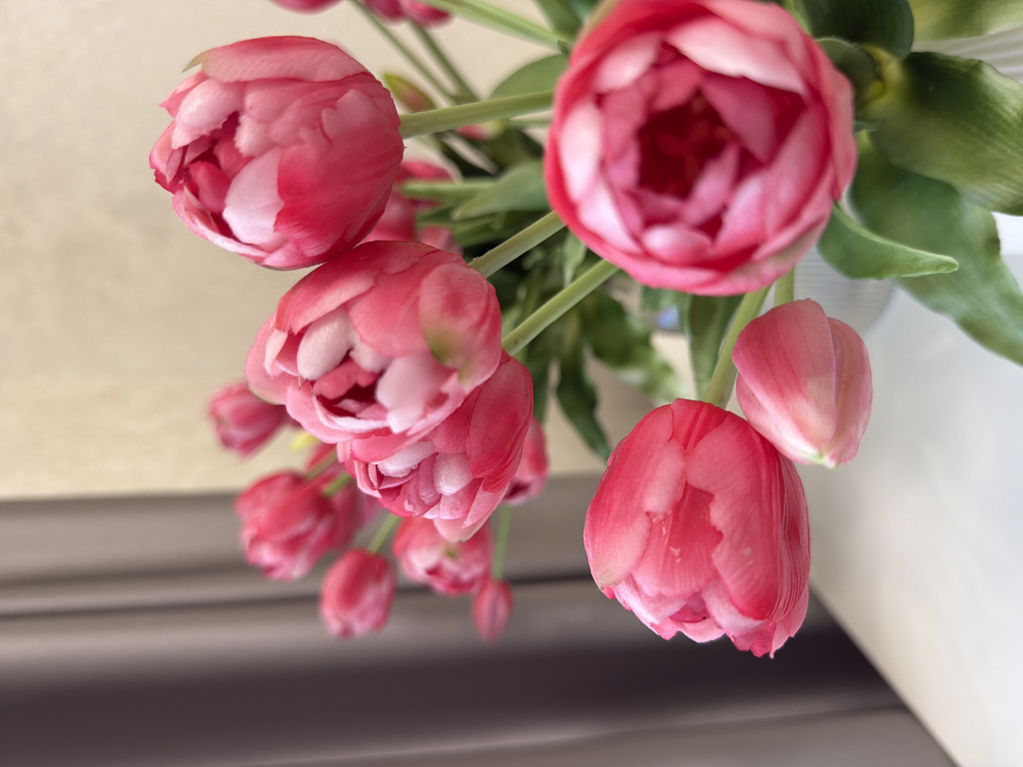 This is a close-up, eye-level shot of a bouquet of pink tulips. The tulips are in various stages of bloom, with some tightly closed buds and others more open, revealing delicate inner petals. The flowers are a vibrant pink with lighter pink or white accents. The stems are green and appear slightly fuzzy. The background consists of a light beige wall to the left and a white, textured surface to the right, suggesting an indoor setting. Below the flowers, there are blurred horizontal lines of a darker color, possibly indicating a surface such as a table or shelf. The lighting appears soft and diffused, suggesting it could be daytime, possibly indoors with natural light. There is no visible text in the image. The focus is primarily on the textures and soft colors of the tulip petals.