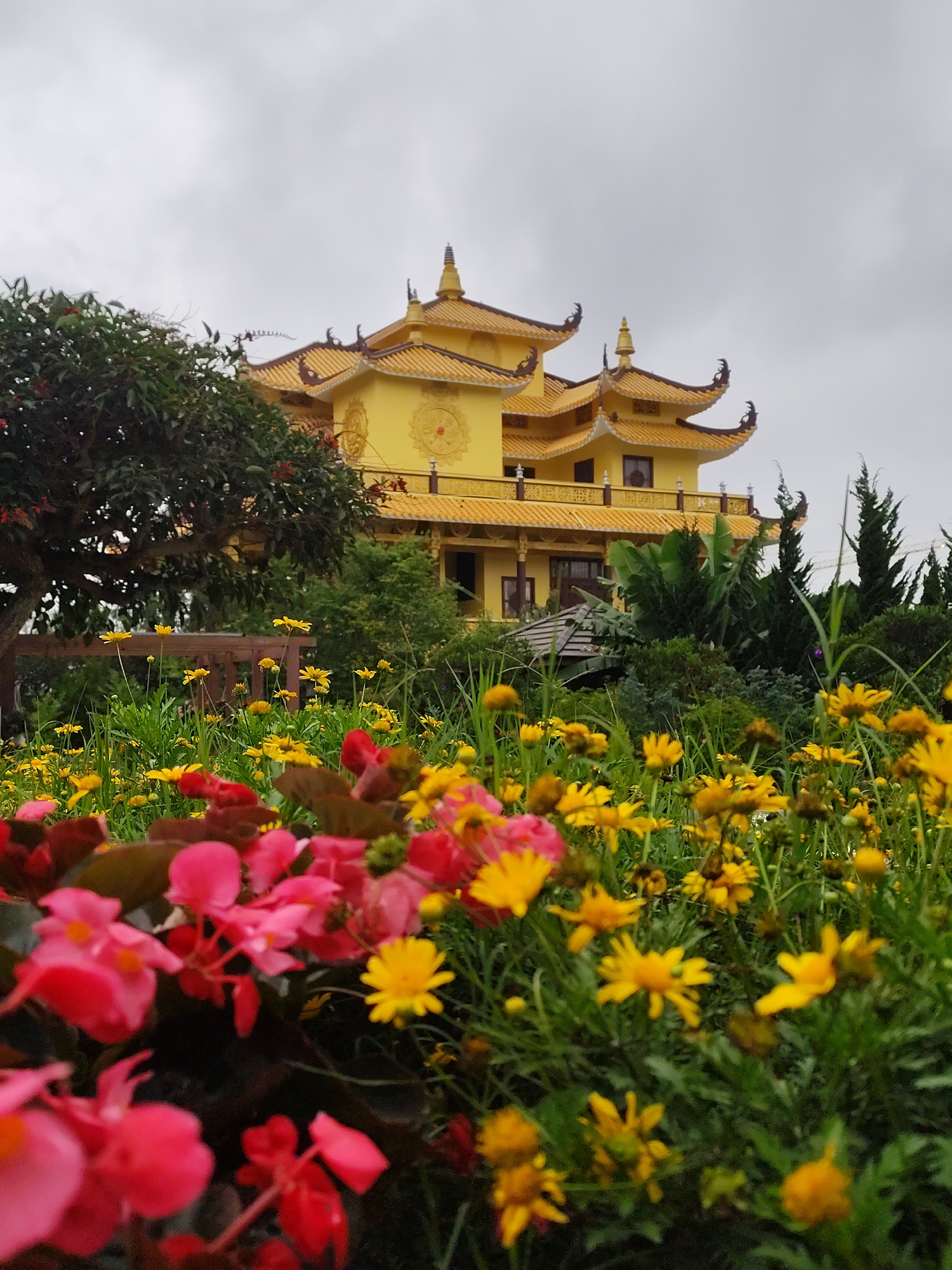 A brightly colored pagoda-style building is situated on a small rise, overlooking a flower garden in Da Lat, Vietnam. The building is primarily yellow with a tiled roof of similar hue. It has multiple levels and intricate architectural details, with spires on the upper roofs. The pagoda is surrounded by lush greenery including trees and shrubbery.
In the foreground, a vibrant flower garden is in full bloom. There are numerous red begonia and yellow daisy-like flowers. The flowers are dense, creating a colorful foreground. Behind the flowers, there is a wooden bench.
The sky is overcast, providing a soft, diffused light. The location is characterized by its natural beauty and cultural architecture, reflective of Da Lat's environment and attractions.