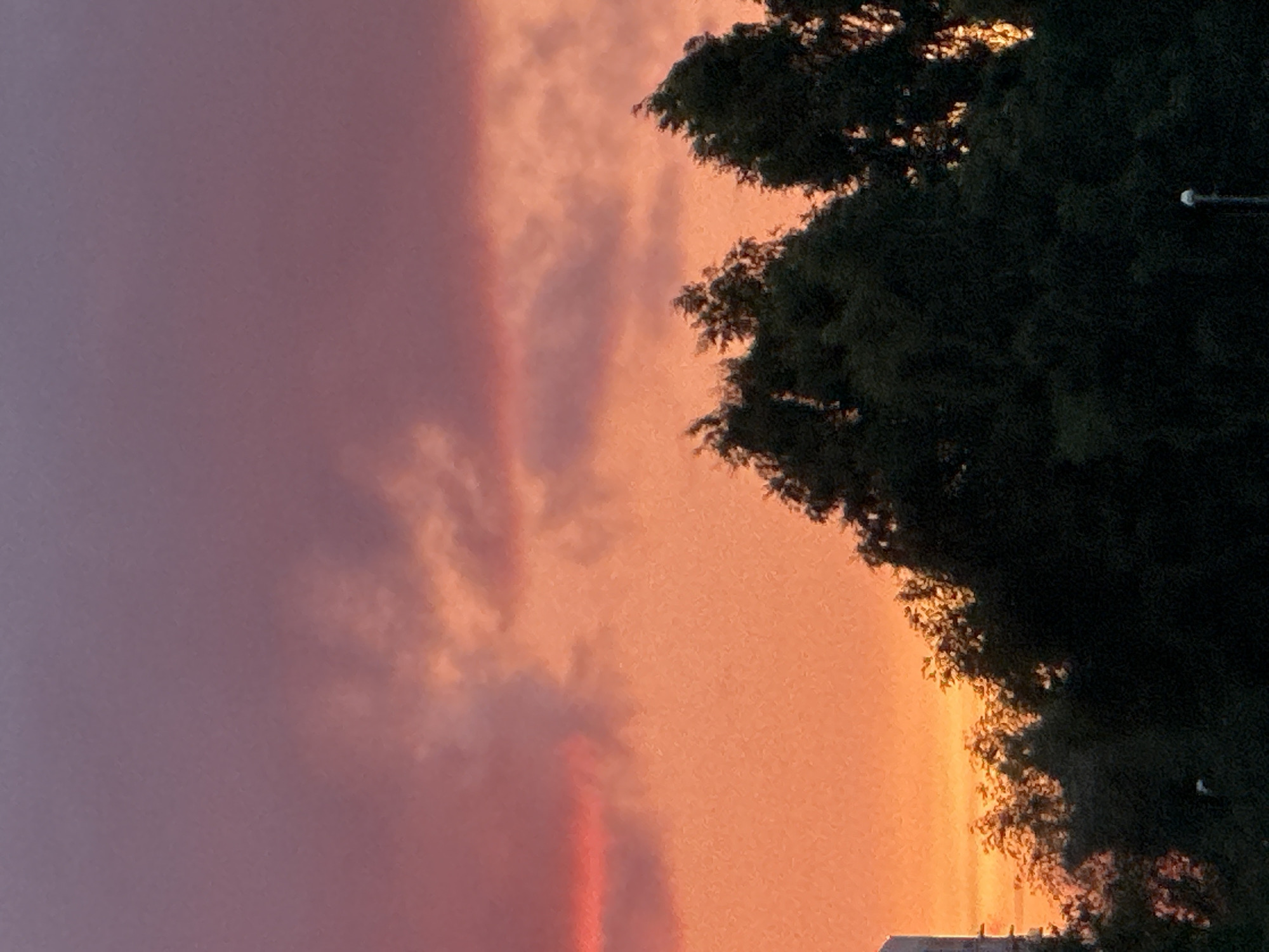 The image depicts a twilight sky over Tallinn, Estonia. The sky is filled with a gradient of colors, transitioning from a deep purple at the top to vibrant oranges and reds near the horizon. Wispy clouds are scattered throughout, catching the fading sunlight. Silhouetted against the colorful sky are the dark, dense tops of several trees, suggesting a park or a residential area with mature foliage. In the far left of the frame, a sliver of a tall, pale building is visible, possibly indicating an urban setting. A single street lamp or light pole is visible in the lower right portion of the image, also silhouetted against the sky. The overall impression is a serene and picturesque evening scene.