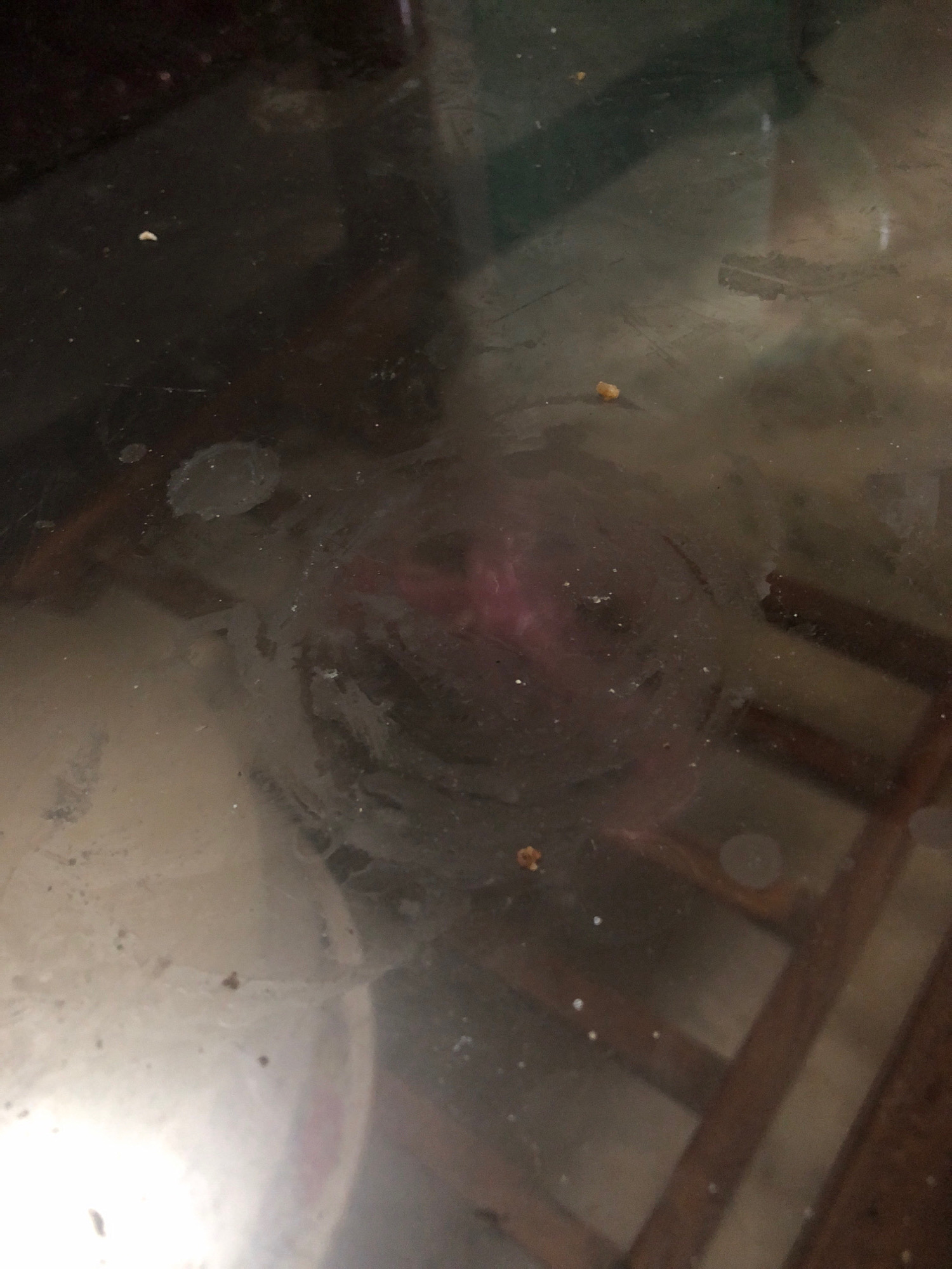 The image shows a close-up, overhead view of a dirty, smudged glass surface, likely a tabletop. There are several food crumbs or small particles scattered across the surface. A prominent circular smudge with a pinkish hue in the center suggests something was previously placed there and has been moved or wiped. The background is blurred but appears to show wooden slats, possibly from a table or chair. There is no indication of the location in Larkana, Pakistan, nor any details about people, actions, or interactions.