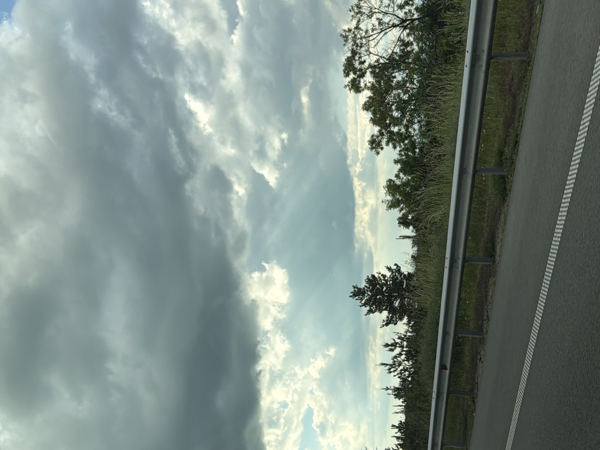The image depicts a roadside scene under a partially overcast sky in the vicinity of Novi Han, Bulgaria. The upper portion of the frame is filled with dense, dark grey cumulus clouds, interspersed with brighter, lighter grey and white clouds. Sun rays, specifically crepuscular rays, are visibly breaking through the clouds in multiple locations, particularly in the mid-left and center.
Below the sky, a horizon line of varied vegetation is visible. This vegetation consists of a mix of trees and tall grasses. On the left and extending towards the center, several dark green conifer trees, likely pines, are present. To the right, deciduous trees with lighter green foliage are visible. The ground cover immediately behind the guardrail and beneath the trees consists of overgrown tall grass and weeds, appearing somewhat dry in texture.
In the foreground, a prominent silver-colored metal guardrail, characteristic of highway barriers, runs horizontally across the lower third of the image. It is supported by multiple vertical posts embedded in the ground. A small, triangular, reddish-orange reflector is attached to the top edge of the guardrail in the central-left area. Below the guardrail, a strip of unkempt ground with sparse vegetation separates the barrier from the road surface.
The lower-left quadrant of the image shows a section of a dark grey asphalt road. Along the edge of this road, a series of precisely aligned white, short, parallel dashed lines are visible, likely functioning as lane markings or rumble strips. No people, vehicles, or animals are present within the depicted scene. The overall lighting suggests daytime conditions, with diffused light from the clouds and direct light where sun rays penetrate.