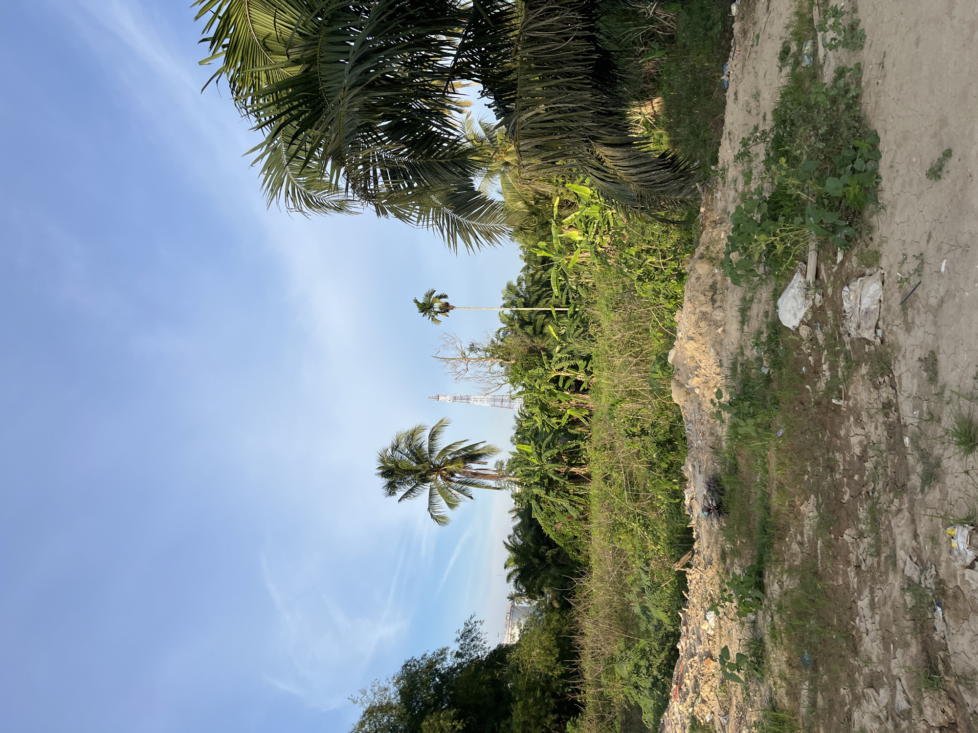 The image depicts an outdoor scene with a focus on a semi-cleared area with vegetation and a clear blue sky. In the foreground, there is dry, cracked earth with sparse patches of grass and some scattered debris, including what appears to be plastic bags and white trash. A mound of dirt and rubble is visible to the left. Behind this, a dense growth of green vegetation, including bushes and smaller trees, dominates the midground. In the background, several palm trees of varying heights are prominent, with one tall, slender palm tree standing out on the left. A lattice-like transmission tower is visible in the distance, slightly to the right of center. To the far left, in the distance, a large white industrial tank or structure can be seen peeking through the trees. The sky above is a clear, pale blue with wispy white clouds. The overall impression is that of a semi-developed or undeveloped area, possibly on the outskirts of a city, with elements of both natural growth and human presence. The location is specified as Alurcucur, Indonesia. There are no people visible in the image, and no discernable actions or interactions are taking place.