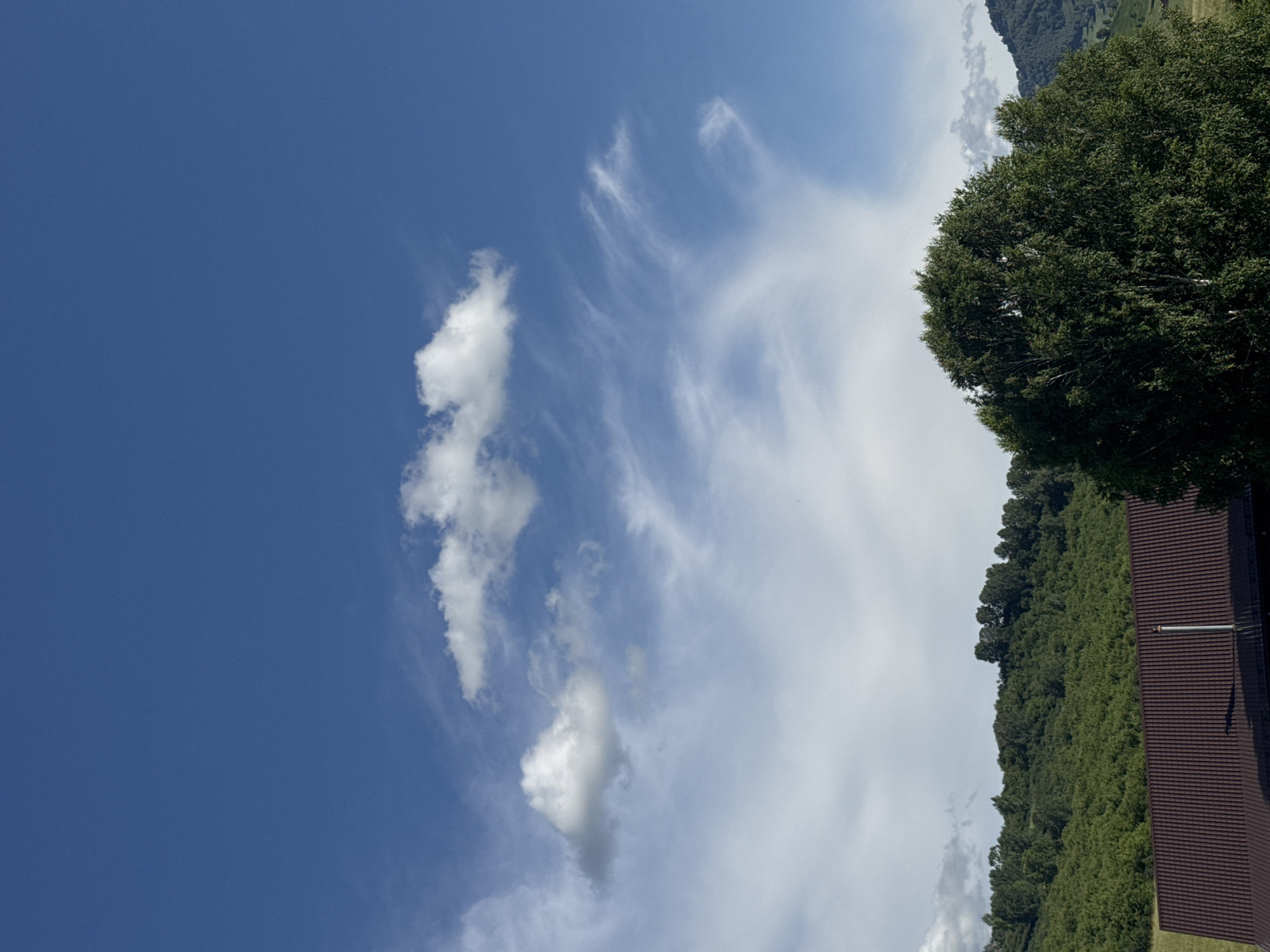 A landscape image captures a bright, clear blue sky with wispy white clouds. Below the sky, a lush green hillside is covered in trees. In the foreground, a portion of a dark brown, ribbed roof of a building is visible, with a metal chimney pipe protruding from it. A large, dense green tree with numerous leaves is situated to the right of the image, partially obscuring the view of the hillside. The image appears to be taken in or near Soloneshnoye, Russia, a rural area known for its natural beauty.
