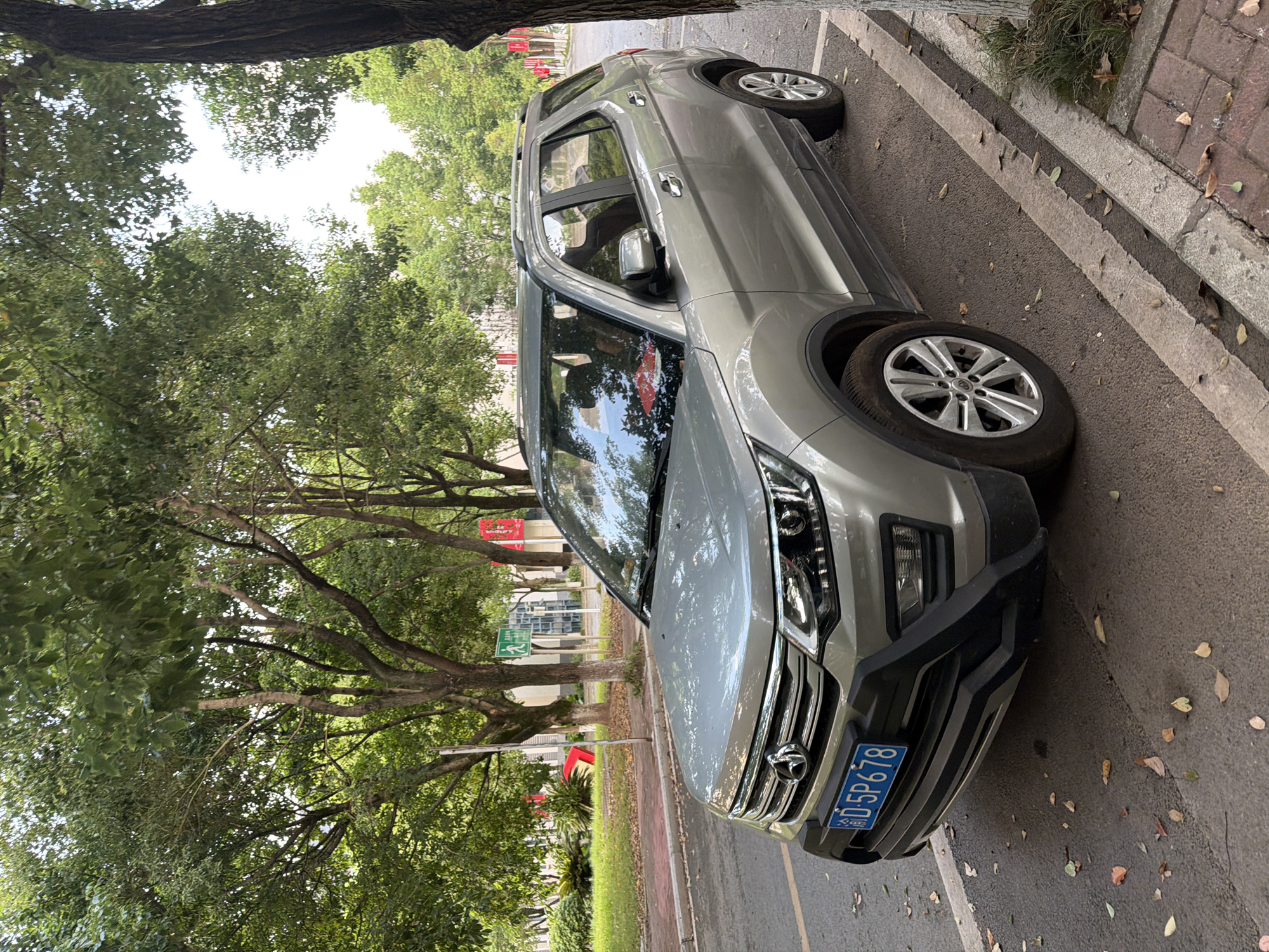 A silver SUV is parked on a street in Jiangjin, China. The car is facing the camera and is positioned at an angle, taking up most of the frame. The street is lined with trees that cast shadows on the ground. There are fallen leaves on the asphalt. In the background, there is a grassy area with some plants and a sidewalk. A street sign with a green pedestrian icon is visible. The license plate of the car reads "D·5P678". The car's headlights are on, and there appears to be a person in the driver's seat, whose face is obscured. The overall scene suggests a quiet street in a residential or park-like area of the city.