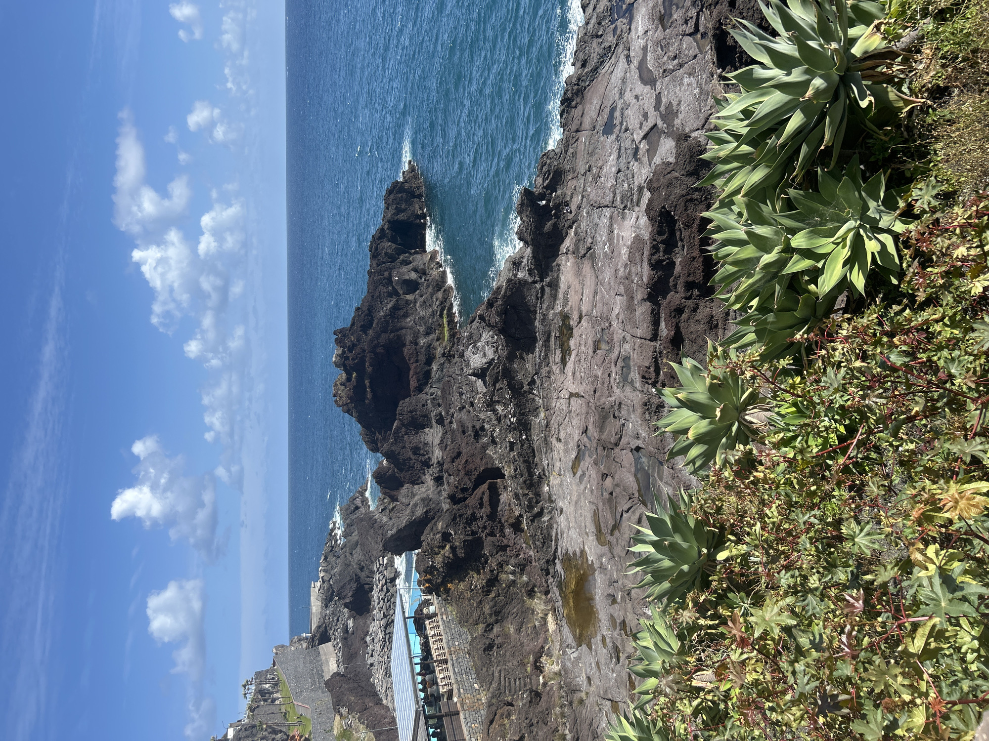 The photograph captures a scene in Câmara de Lobos, Portugal. The foreground includes rocky terrain and vegetation, specifically agave plants. Beyond the rocky terrain, the ocean stretches towards the horizon under a partly cloudy sky. A structure with a blue roof and glass walls is visible, potentially a building or enclosure. The composition emphasizes the natural landscape meeting the built environment.