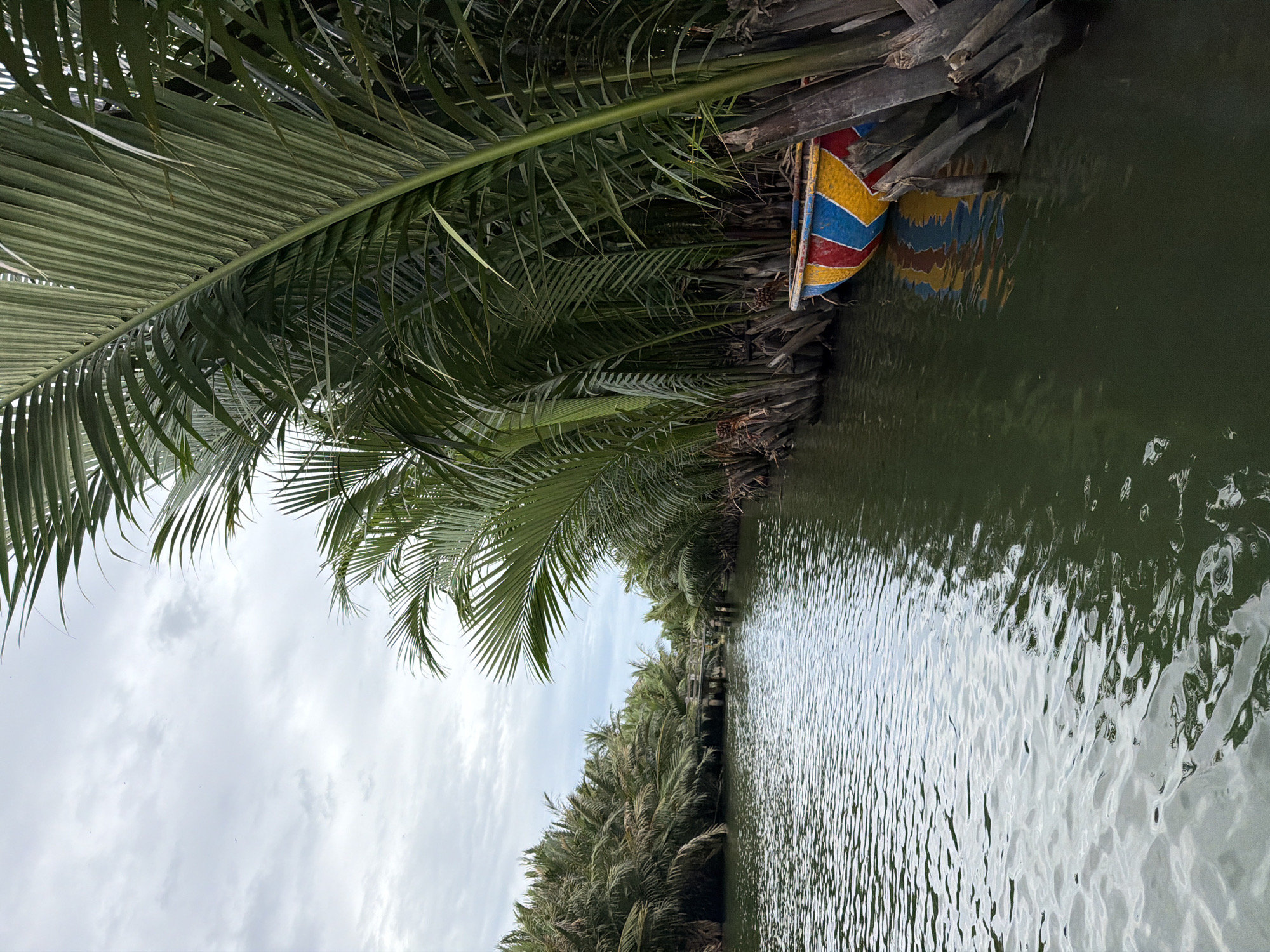The image depicts a calm river flowing through a lush, tropical environment characterized by dense palm trees lining the banks. The water is dark green and reflects the overcast sky and the surrounding vegetation. In the foreground, on the right bank, a small, brightly colored boat with red, yellow, and blue patterns is partially submerged. The boat appears to be a traditional basket boat, commonly found in Hoi An. In the distance, a wooden bridge spans the river, further enhancing the sense of a tranquil, natural setting. The sky is cloudy and gray, suggesting a potentially humid or rainy day. The scene is characteristic of the waterways in and around Hoi An, Vietnam, known for their scenic beauty and rich cultural heritage. There are no people visible in the image.
