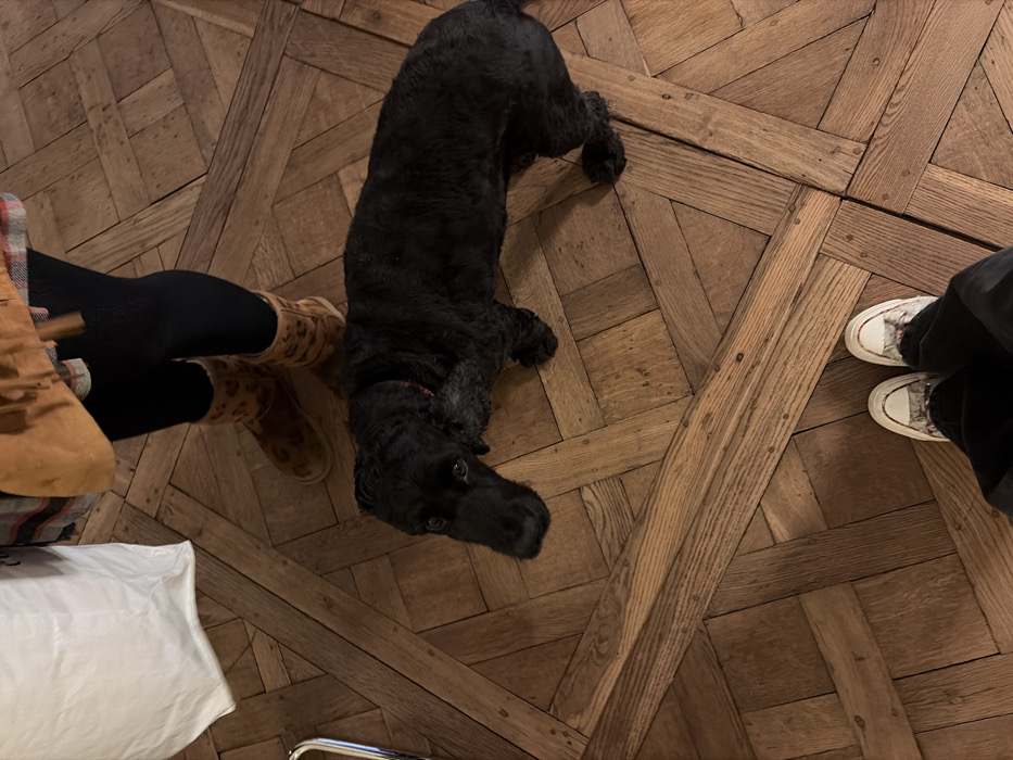 The image displays an indoor scene from an overhead perspective, showcasing a classic Parisian-style parquet de Versailles wooden floor composed of light to medium brown interlocking planks.
Three subjects are partially visible. In the upper half, a person stands, visible from the mid-calf down, wearing black leggings or tights and tan, Ugg-style boots with a subtle leopard print. The bottom edge of a plaid garment and a brown, fringed suede-like bag are also present. To the left of this person, a large, crumpled white bag rests on the floor next to a partial chrome object.
Centrally positioned is a medium-sized, black-coated dog, possibly a Cocker Spaniel, with short, curly fur and dark eyes, looking upward. A faint red collar is visible around its neck.
In the lower portion of the frame, the feet of a second person are visible, wearing dark pants/jeans and white Converse-style sneakers with a subtle patterned design.
The environment, specifically the ornate parquet flooring, is highly characteristic of upscale or historic residential and public interiors in Paris, France, indicating the scene takes place within a Parisian apartment or similar establishment. The subjects appear to be standing, and the dog is observing the camera's direction.
