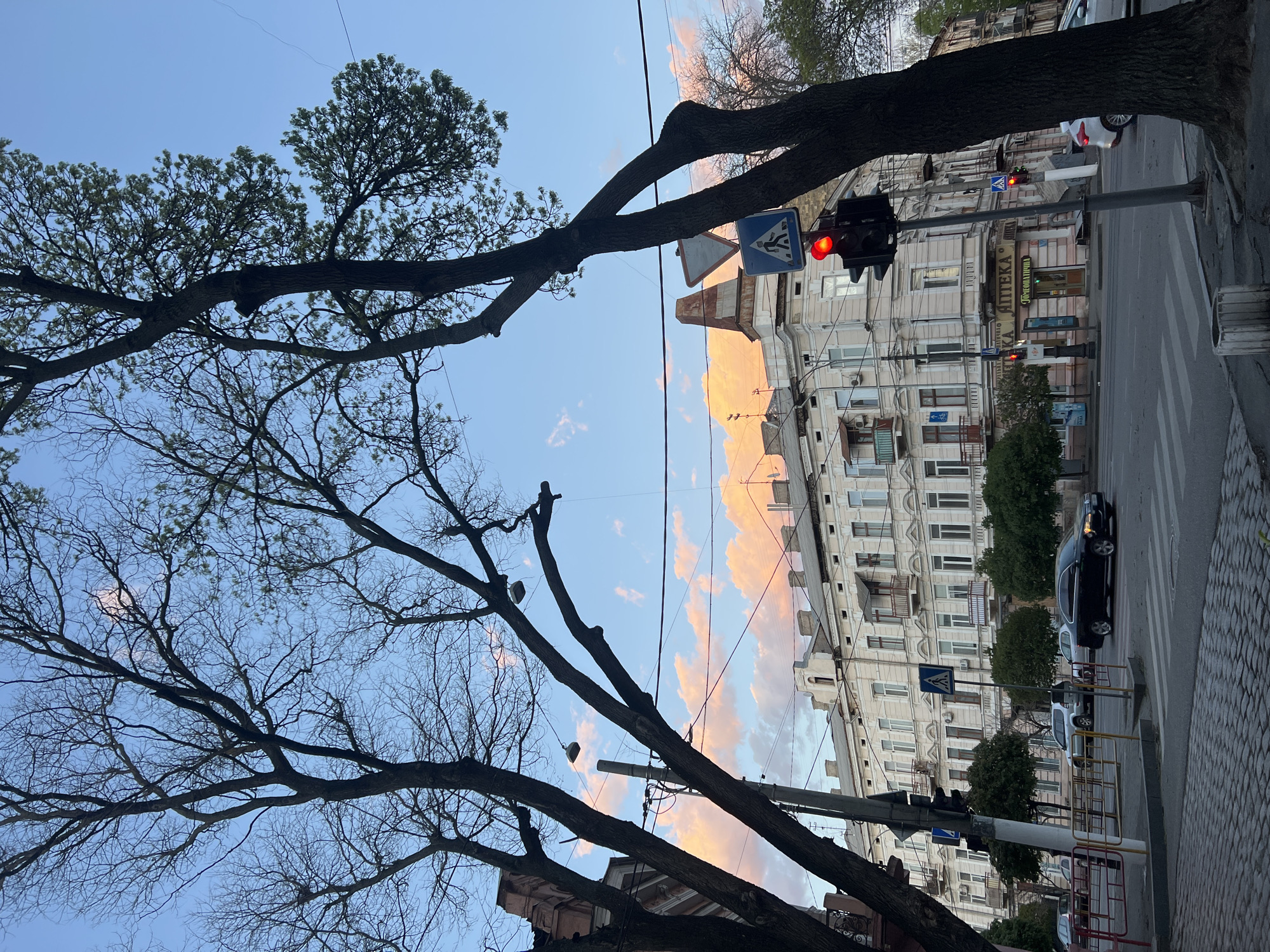 The image captures a street scene in Odesa, Ukraine. The view is framed by tree branches, some with leaves, against a backdrop of a pastel sky with pink and orange clouds. An intersection is visible with traffic lights showing red. There is a crosswalk sign. Multi-story buildings line the street, with a variety of architectural details, including windows, balconies, and cornices. Cars are parked along the curb and a black car drives on the road. Signs with lettering in Ukrainian are attached to the buildings. The overall impression is a twilight urban landscape.