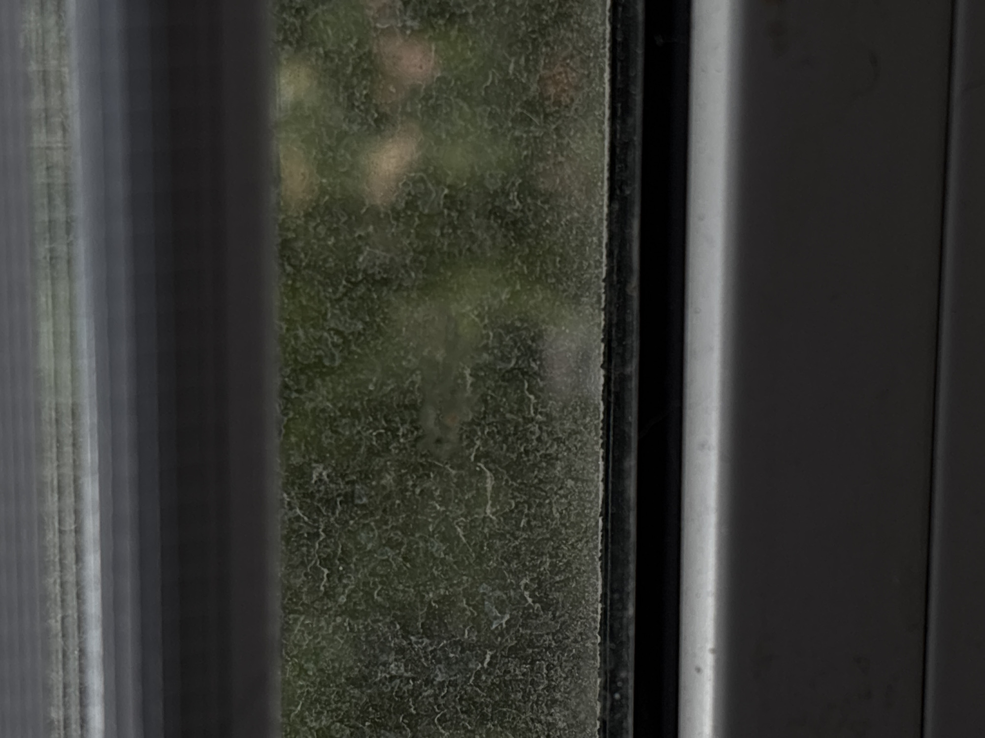 The image shows a close-up view of a dirty window with horizontal blinds visible above and below the window pane. The glass is covered in a layer of grime, obscuring the view of foliage outside, which appears green and slightly blurred, suggesting trees or bushes. There is no indication of the city of Saint Petersburg, Russia, or any specific location within it. The scene is static and devoid of any human presence or activity. The focus is on the texture and condition of the window and its surroundings, highlighting the dirt and dust.