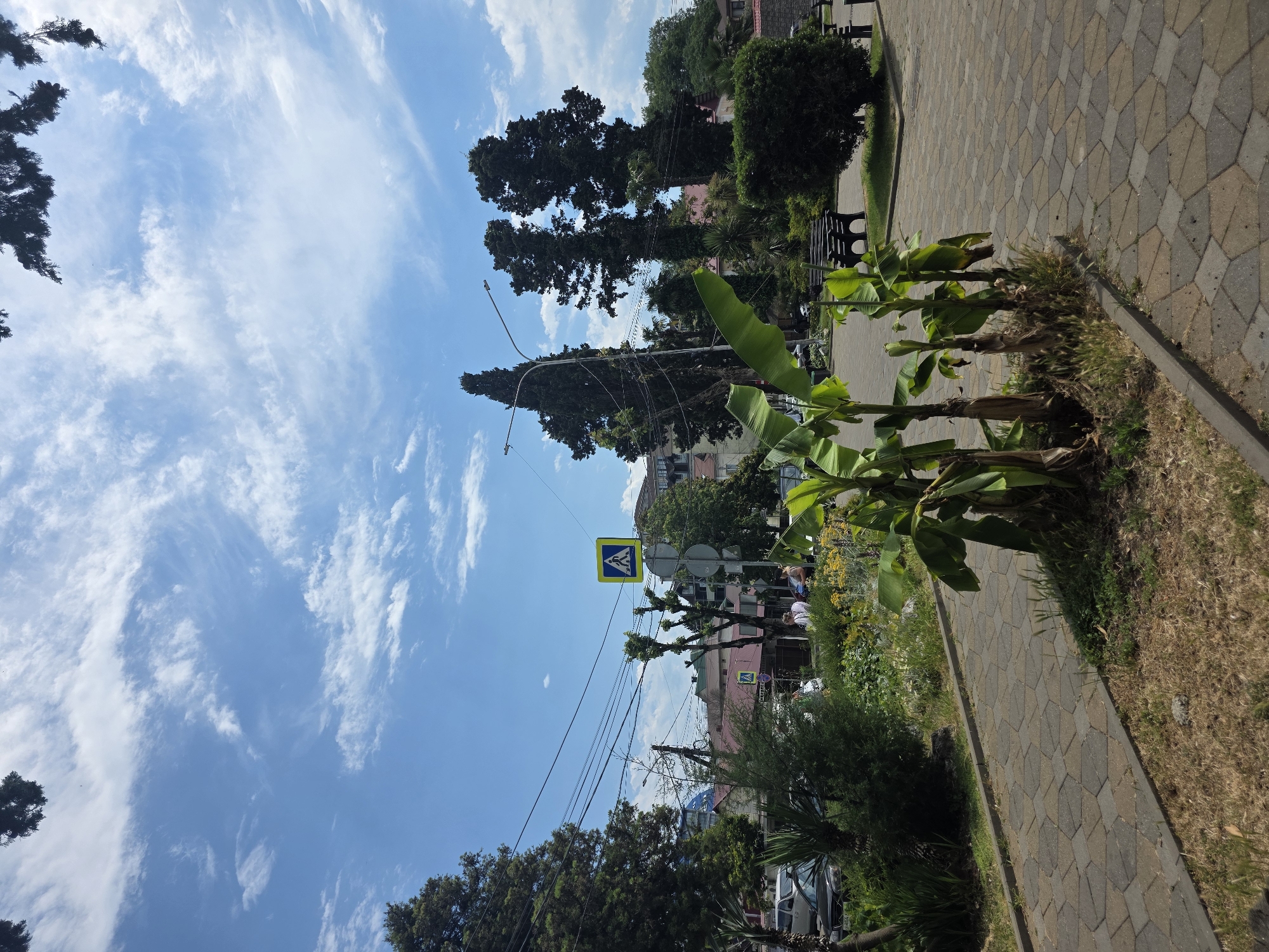 A wide shot captures a street scene in Sochi, Russia, under a bright blue sky with wispy white clouds. In the foreground, a paved walkway made of hexagonal stones leads diagonally to the right. To the left of the walkway, a patch of dry grass and a small cluster of banana plants with broad green leaves are visible.
Further into the scene, a street is lined with trees and buildings. A pedestrian crossing signal with a yellow background and a white silhouette of a person walking is mounted on a pole. Several other signs are also present on poles. Power lines stretch across the sky, supported by poles.
Cars are parked along the street, and a few people are walking or standing near the sidewalk. A dark green bush is prominent on the right side of the image, and park benches are visible in the background. The architecture of the buildings suggests a mix of residential and possibly commercial structures. The overall impression is a sunny day in a moderately populated urban area with lush vegetation.