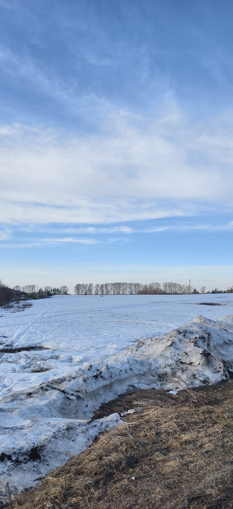 The image shows a snow-covered field in Фоки, Russia. The sky is blue with scattered, light clouds. A line of bare trees stretches across the horizon. In the foreground, a bank of snow and dirt is visible, transitioning into dry grass and vegetation along the edge of the frame. Tracks are visible on the snow-covered ground. No people or animals are visible.