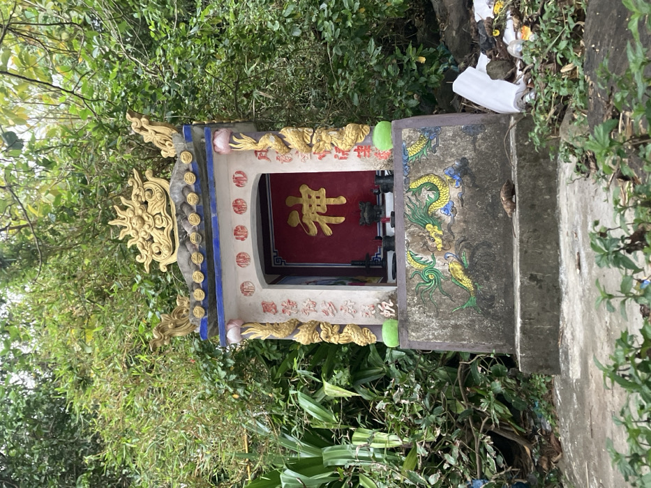 An outdoor scene in Sơn Trà Ward, Vietnam, depicts a small, ornate shrine situated amidst dense green foliage. The shrine features a multi-tiered concrete base with two steps. A painted green and yellow dragon motif with blue cloud accents adorns the front of the base. A small, brown rodent is present on the second step of the base, positioned towards the right. The shrine's main structure is white with gilded decorative columns featuring dragon figures and lotus motifs at the corners. The central recess contains a red background with a prominent gold Chinese character "神" (Shén, meaning 'deity' or 'spirit'). Within this recess, two dark, metallic-appearing vessels or incense burners are visible. The shrine is topped with a blue and white tiled roof, featuring a large, golden, ornate finial resembling a dragon head. Dense green vegetation, including broad-leaf plants and bamboo, forms the background and flanks the shrine. To the right of the shrine, a accumulation of assorted waste, including white plastic and bottles, is visible on the ground. The lighting is diffused, suggesting an overcast day or shaded location. No human subjects are present.