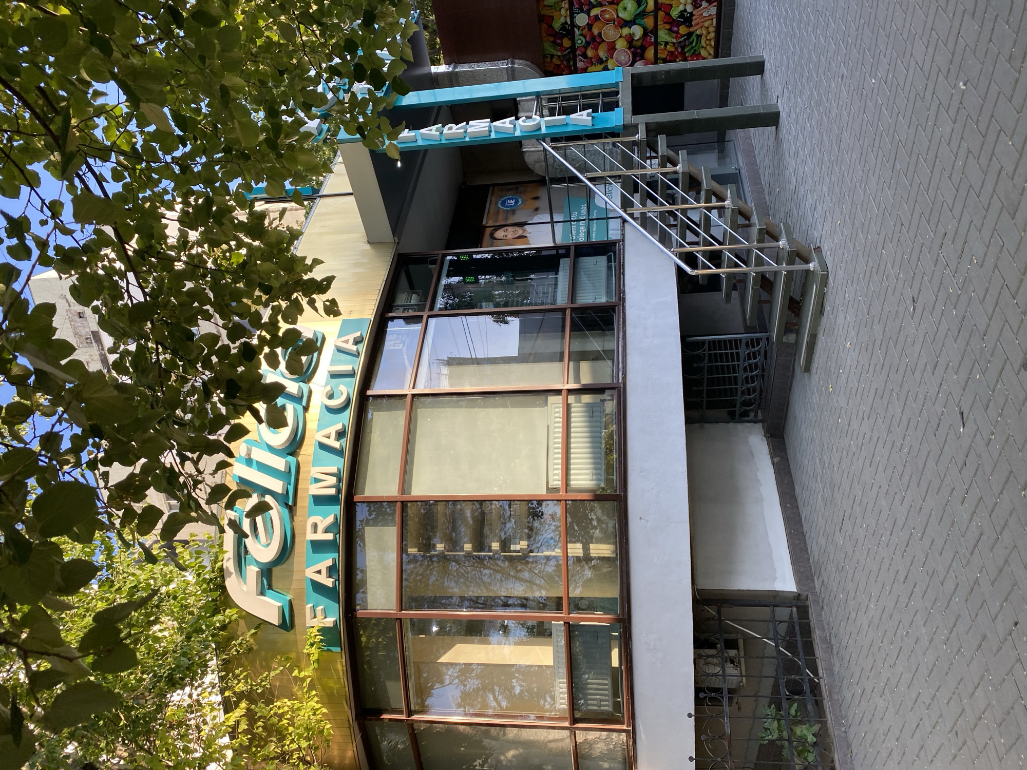 An exterior, ground-level, eye-level shot captures the facade of a pharmacy in Chișinău, Moldova. The pharmacy, identified by the signage "Felicia FARMACIA", has a rounded glass front with brown framing. Inside, radiators are visible through the windows. A metal staircase with a railing leads to the entrance. To the right of the stairs, a vertical "FARMACIA" sign is mounted on a blue pillar. A colorful mural of fruits and vegetables is displayed on the wall to the far right. Overhead, green leaves from a tree partially obscure the upper portion of the building and the sky. The ground in front of the pharmacy is paved with gray interlocking bricks.