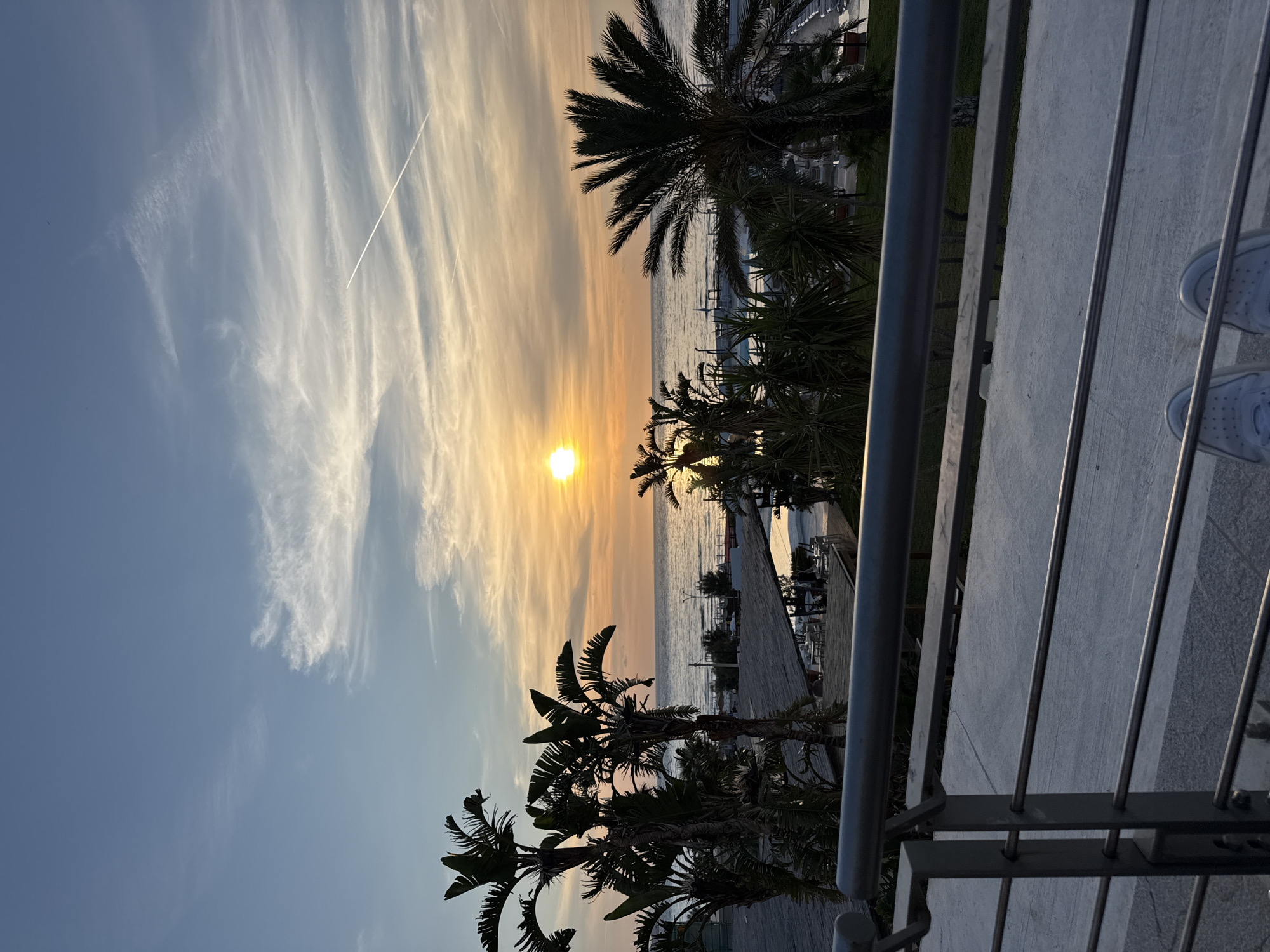 This image depicts a serene coastal scene at either sunrise or sunset, viewed from an elevated balcony in Isola delle Femmine, Italy. The sky transitions from a soft blue on the left to a vibrant golden and orange near the horizon, where the bright, round sun is positioned low. Long, wispy white clouds (likely cirrus) stretch across the sky, and a distinct airplane contrail cuts through the upper portion.
The calm surface of the sea reflects the golden light, extending towards the horizon. In the mid-ground, several palm trees and other tropical foliage are silhouetted against the luminous sky and water, lending a characteristic Mediterranean ambiance to the scene. Hints of distant structures, possibly part of a resort or beach area, are visible along the shoreline.
In the immediate foreground on the right, a gray metallic railing of a balcony or terrace is prominent. Below the railing, a light-colored concrete floor is visible, where the feet of a person, clad in white sneakers, are subtly captured, indicating an observer taking in the picturesque view. The overall atmosphere is peaceful and beautiful, capturing a tranquil moment by the sea. There is no visible text in the image.