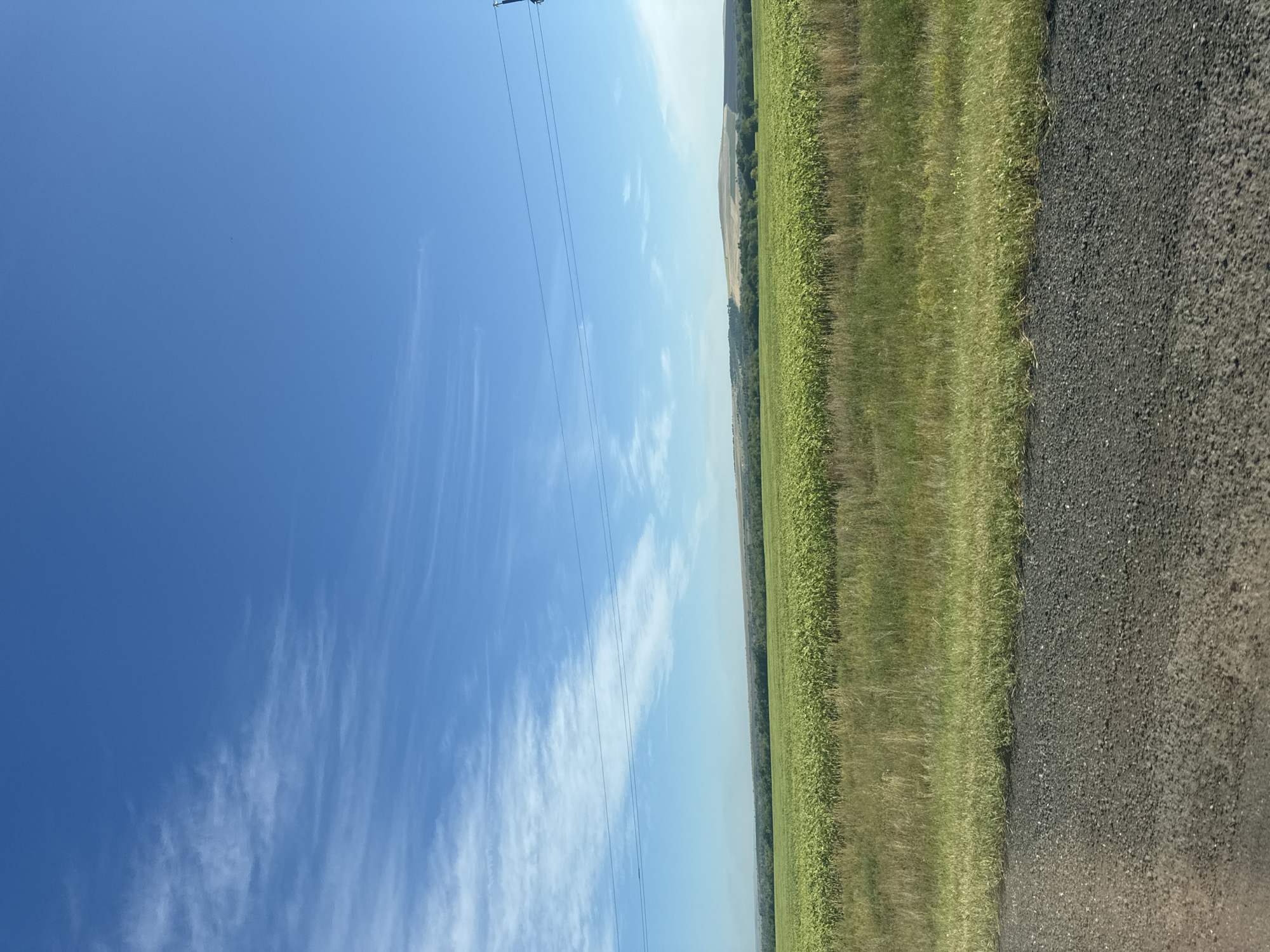 The image depicts a wide agricultural landscape under a bright blue sky with wispy white clouds. In the foreground, a dirt road borders a strip of green grass. Beyond the grass, a vast field of green crops, possibly sunflowers, stretches horizontally across the frame. In the distance, rolling hills covered in trees and scrub form the horizon, with a few scattered buildings visible on the slopes. A power line with multiple cables is strung across the upper portion of the image, supported by a distant pole on the right. The scene is characteristic of rural scenery in Burdygino, Russia, given its agricultural plains and rolling terrain.