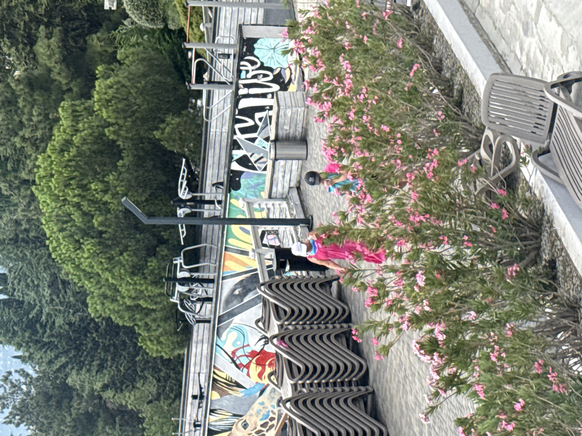 The image captures a scene on a paved area next to a row of flowering bushes, likely in the city of Yalta, Ukraine. In the foreground, several stacks of empty lounge chairs are visible. Behind the chairs, two young individuals are present. One, wearing a bright pink dress and a white cap, is walking and looking towards the right. The other, wearing a baseball cap and a green and blue top, is standing and appears to be holding a drink.
Behind these individuals is a wall adorned with colorful graffiti. Beyond the wall, there are outdoor exercise equipment structures, suggesting this area might be part of a recreational facility or park. The background is dominated by lush green trees, characteristic of Yalta's coastal environment. The overall impression is of an outdoor space designed for leisure and recreation, with a tropical or Mediterranean feel due to the flowering plants and abundant greenery.