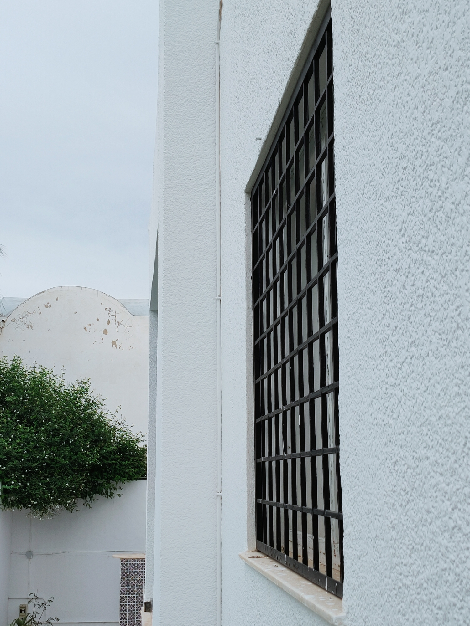 The image displays a stark, textured white building with a barred window in Mrezga, Tunisia. The building's facade is rough and speckled, with a dark, grid-like metal grate covering the window. To the left, a portion of another white structure with a rounded, weathered top is visible, partially obscured by a lush, green bush dotted with small white flowers. The background is a pale, overcast sky. The scene suggests a residential or administrative building, possibly with a focus on security due to the window bars.