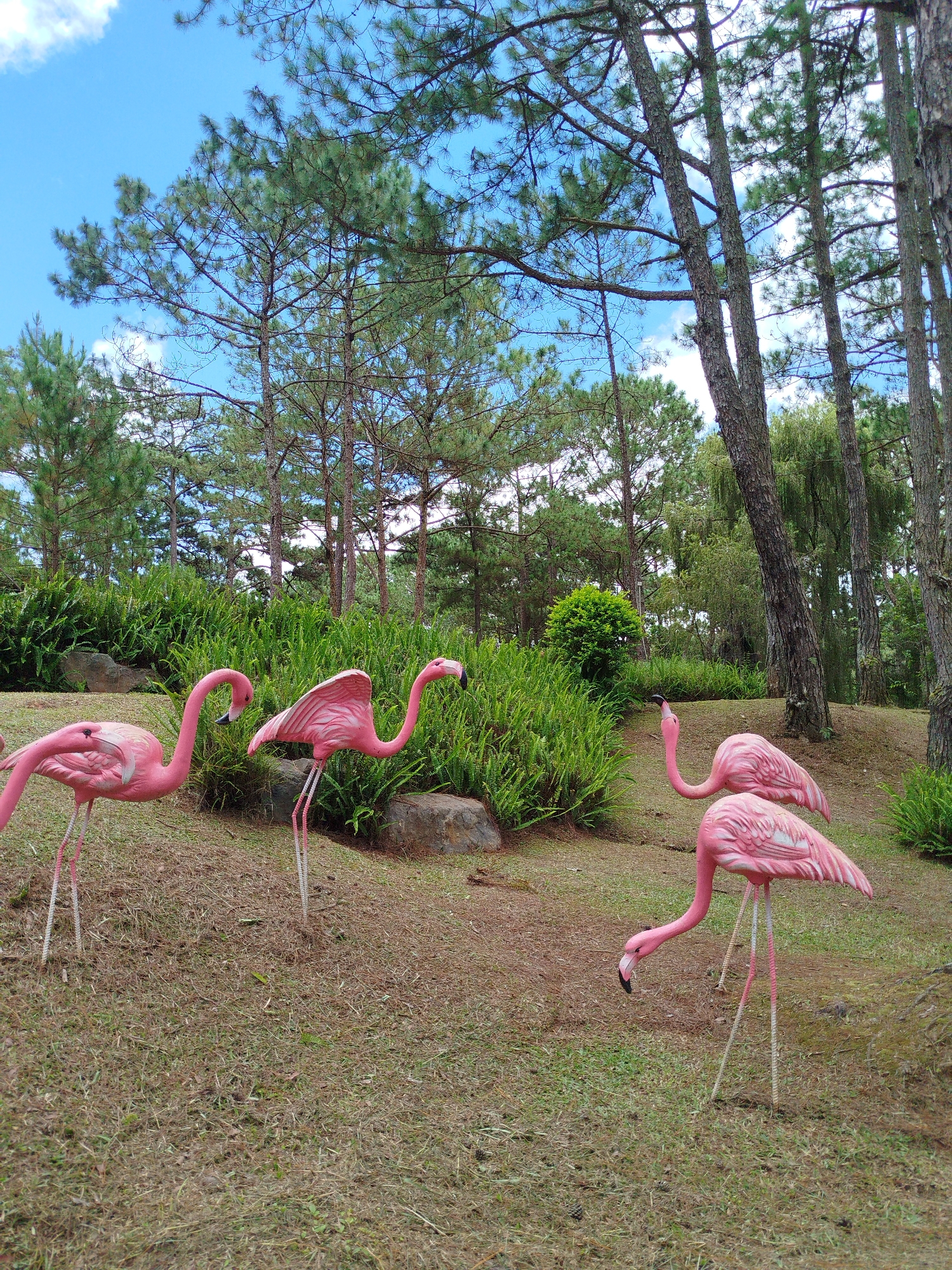 Four pink flamingo sculptures are positioned on a grassy slope with scattered pine trees and lush green foliage in the background under a bright blue sky with scattered white clouds. The sculptures are arranged in a naturalistic pose, with some appearing to be feeding or observing their surroundings. The environment suggests an outdoor recreational area or garden.