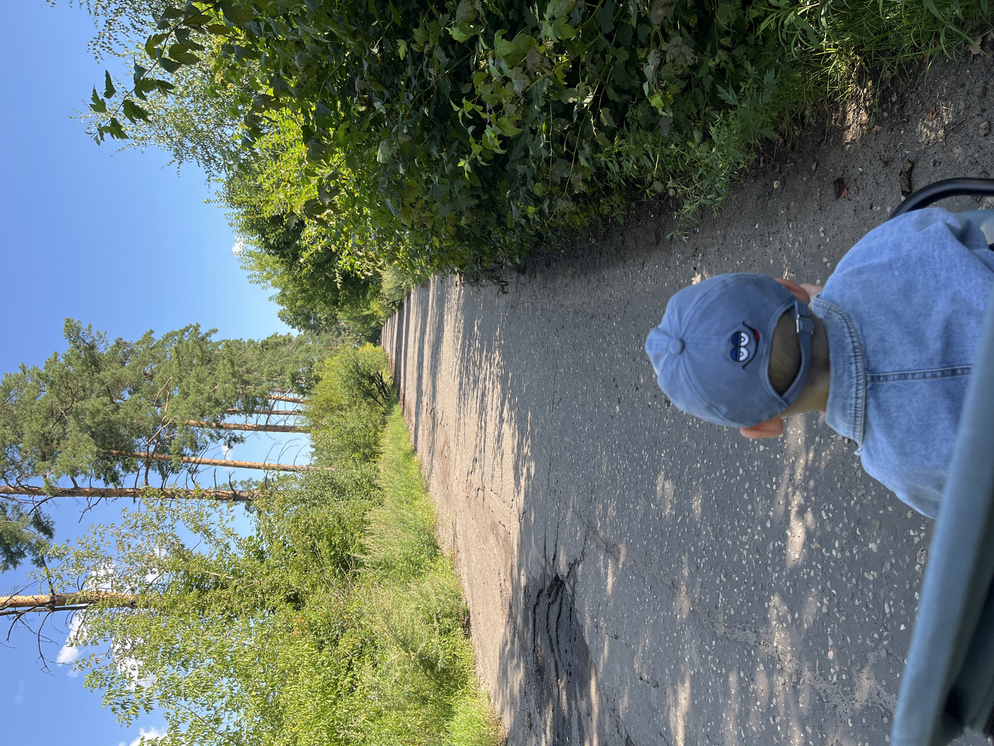 In Balashikha, Russia, on a clear day, a young child wearing a blue denim jacket and a blue baseball cap with an embroidered cartoon face sits facing away from the camera. The child is positioned on a dark-colored object, possibly a stroller or bicycle seat, which is partially visible in the foreground. The child is looking down a paved, cracked, and somewhat overgrown path that extends into the distance. The path is flanked on the left by tall pine trees and lush green bushes, and on the right by dense green foliage and bushes. Sunlight casts dappled shadows on the path. The sky is a bright, cloudless blue.